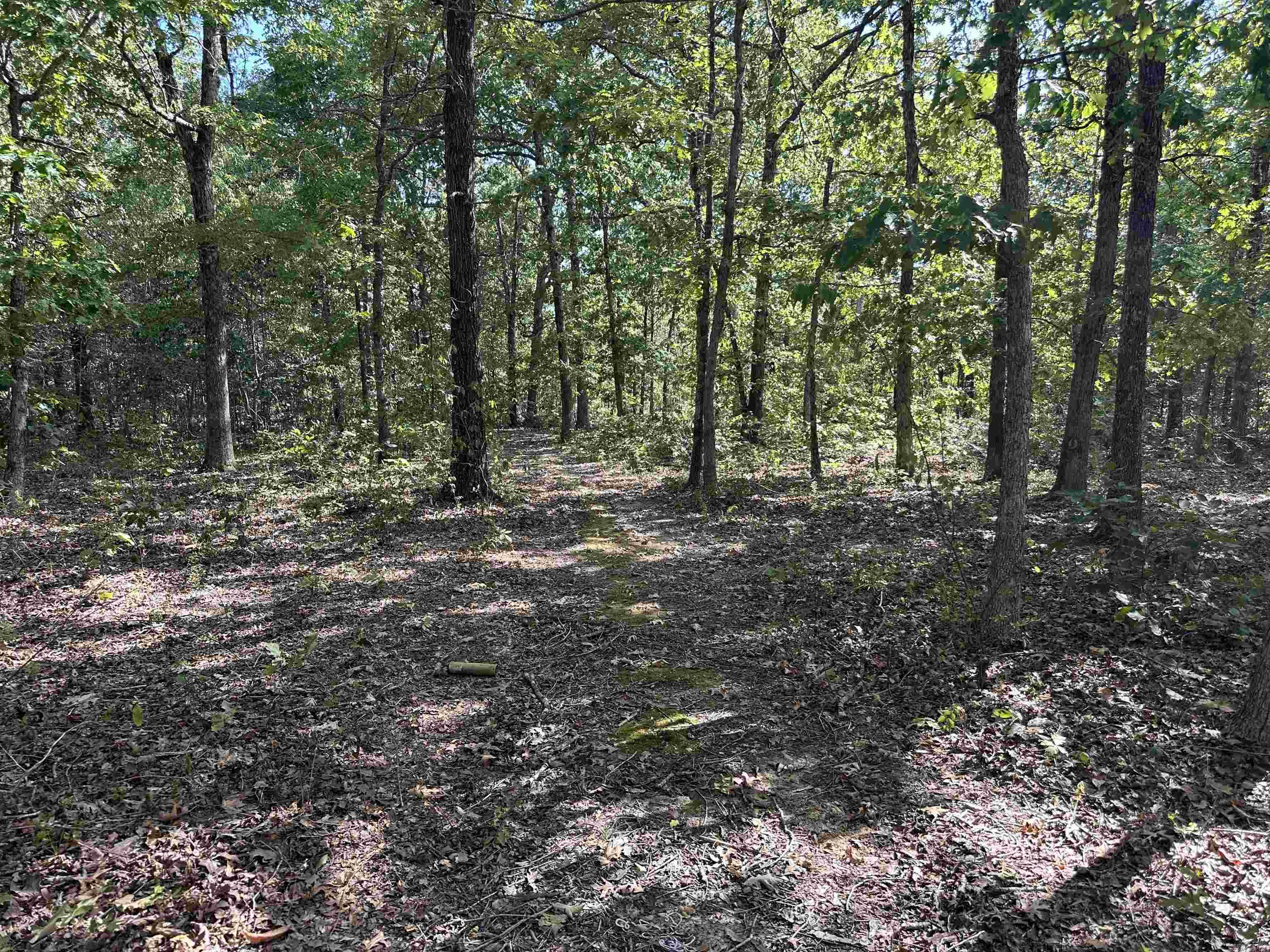Photo 46 - Residential for sale – 2215  AR Hwy 175   Mammoth Spring, AR