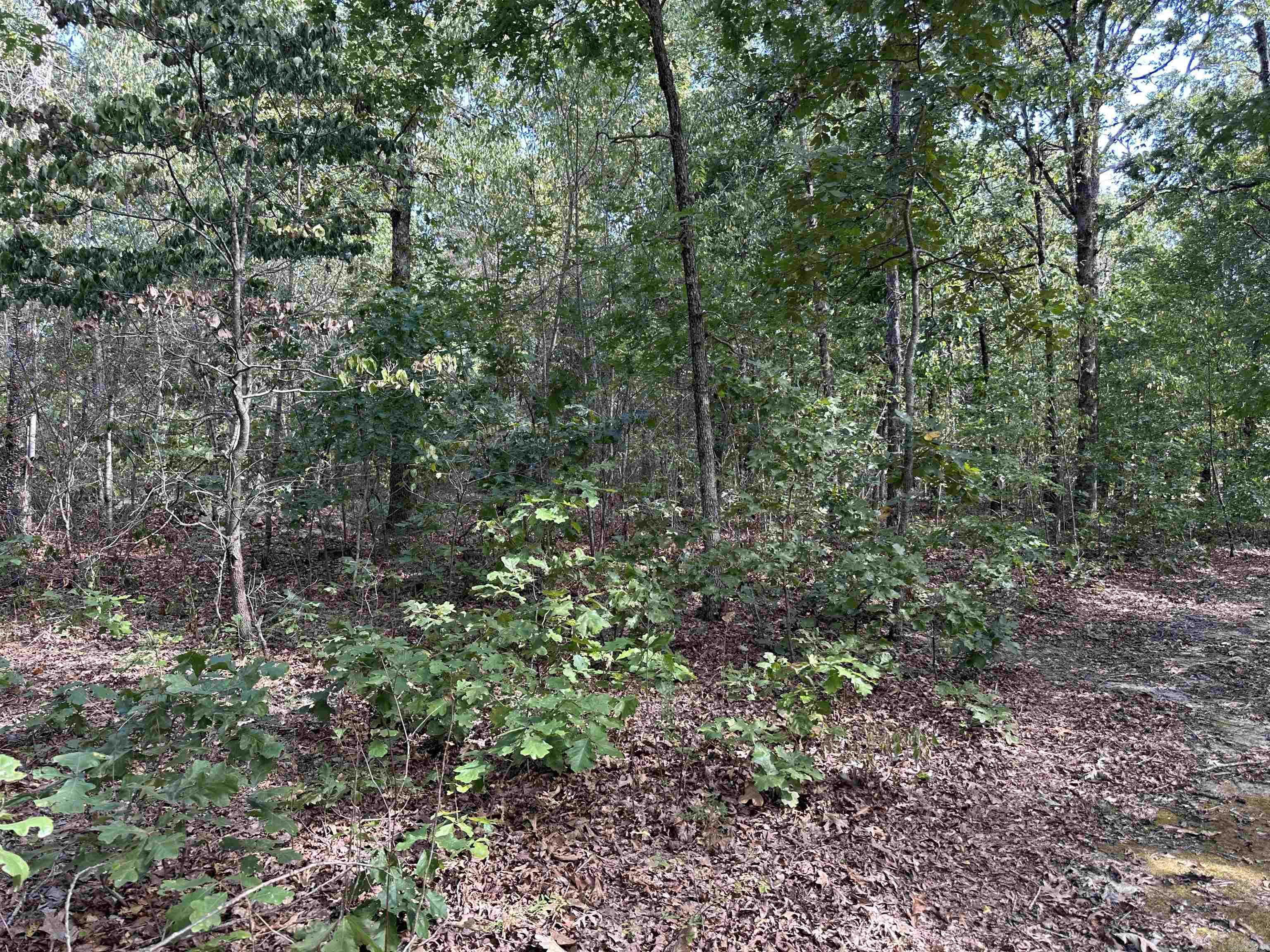 Photo 47 - Residential for sale – 2215  AR Hwy 175   Mammoth Spring, AR