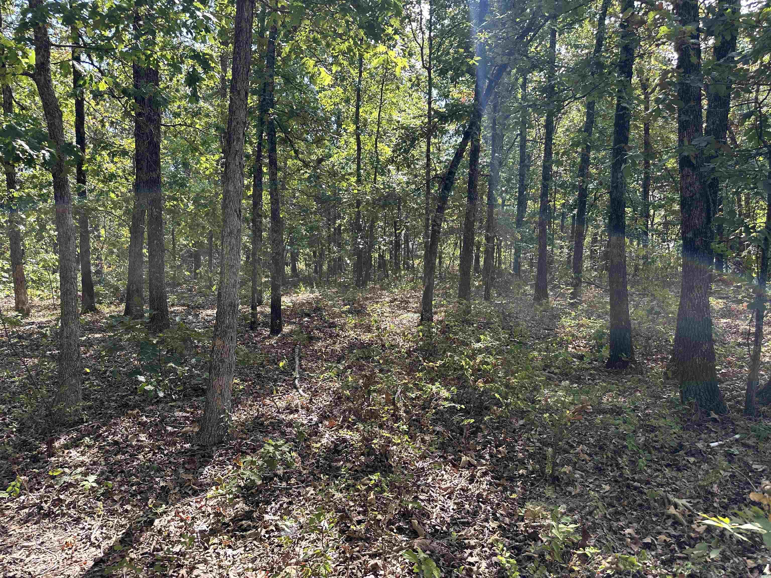 Photo 48 - Residential for sale – 2215  AR Hwy 175   Mammoth Spring, AR