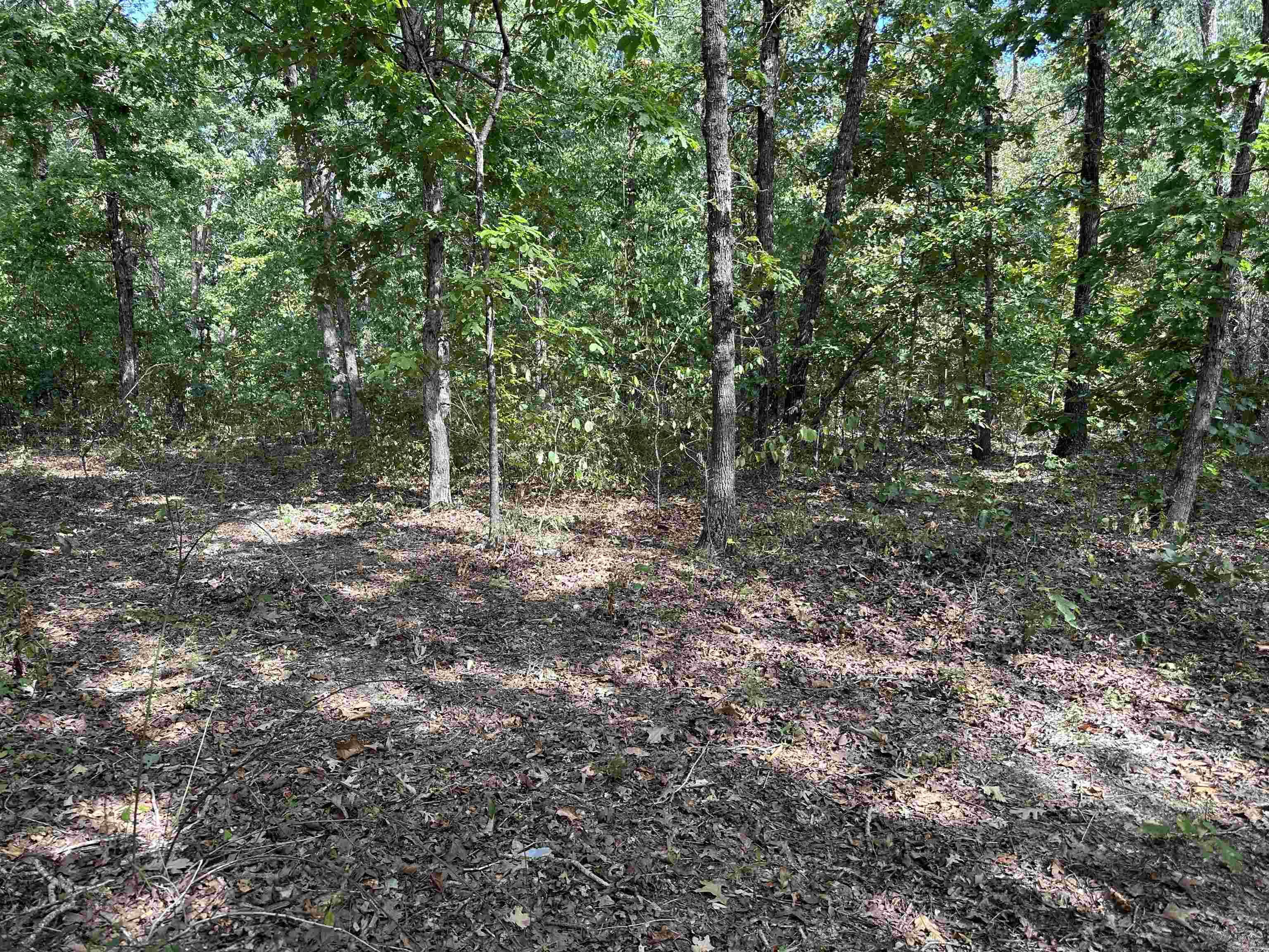 Photo 49 - Residential for sale – 2215  AR Hwy 175   Mammoth Spring, AR
