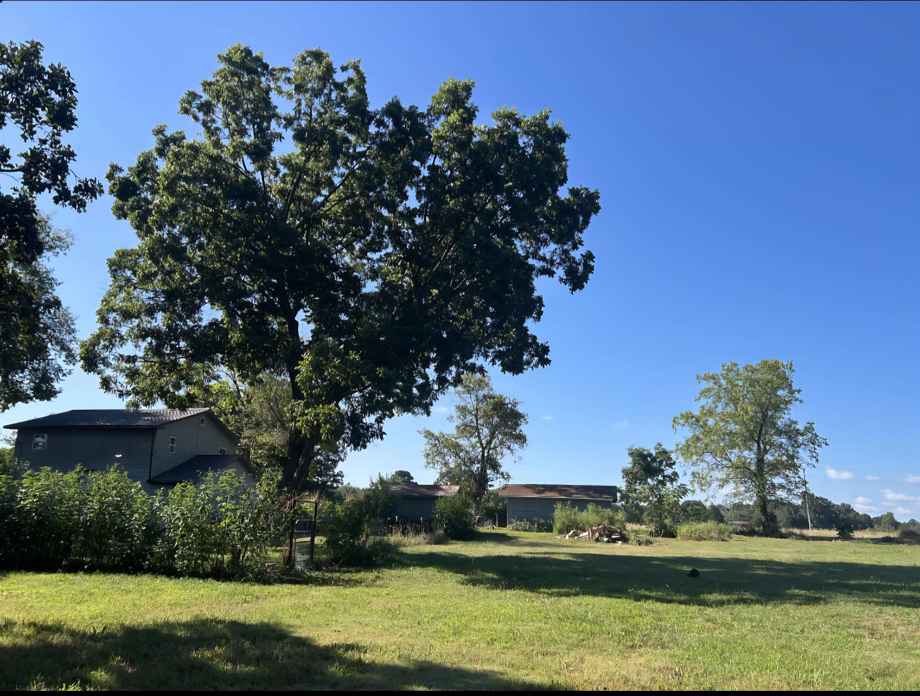 Photo 4 - Residential for sale – 690  Autumnwood   Ash Flat, AR