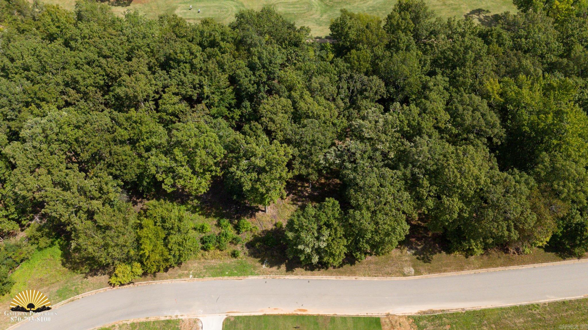 Photo 3 - Vacant Land for sale –   Mountain Ridge Rd.   Batesville, AR