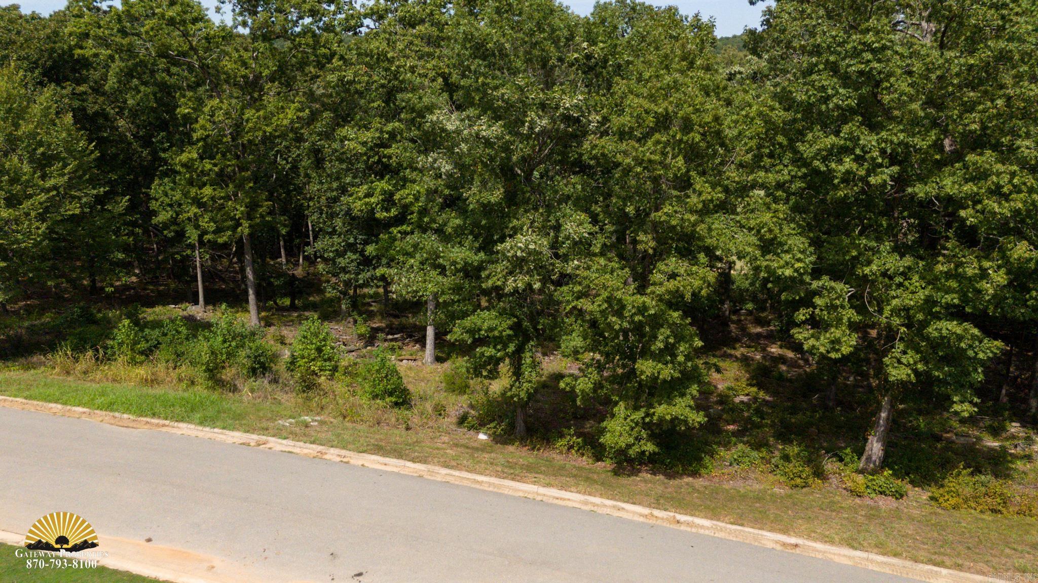 Photo 4 - Vacant Land for sale –   Mountain Ridge Rd.   Batesville, AR