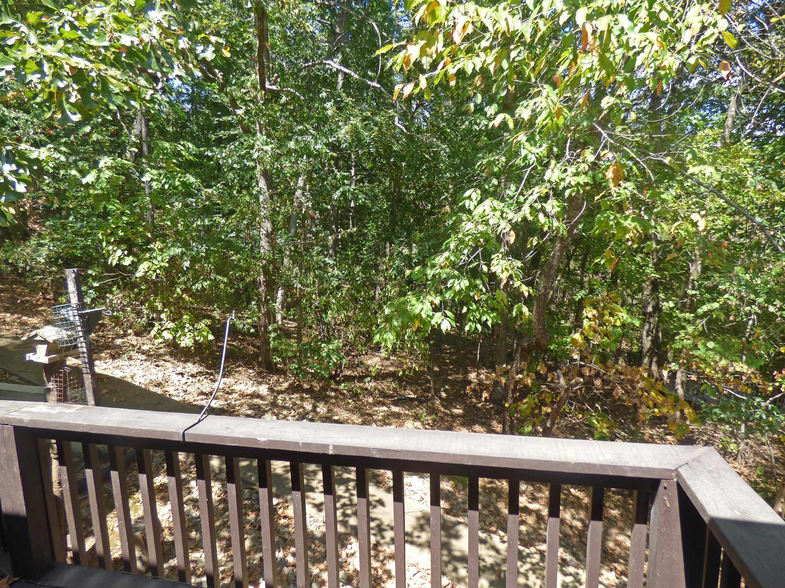 Photo 7 - Residential for sale – 2  Eufaula   Cherokee Village, AR