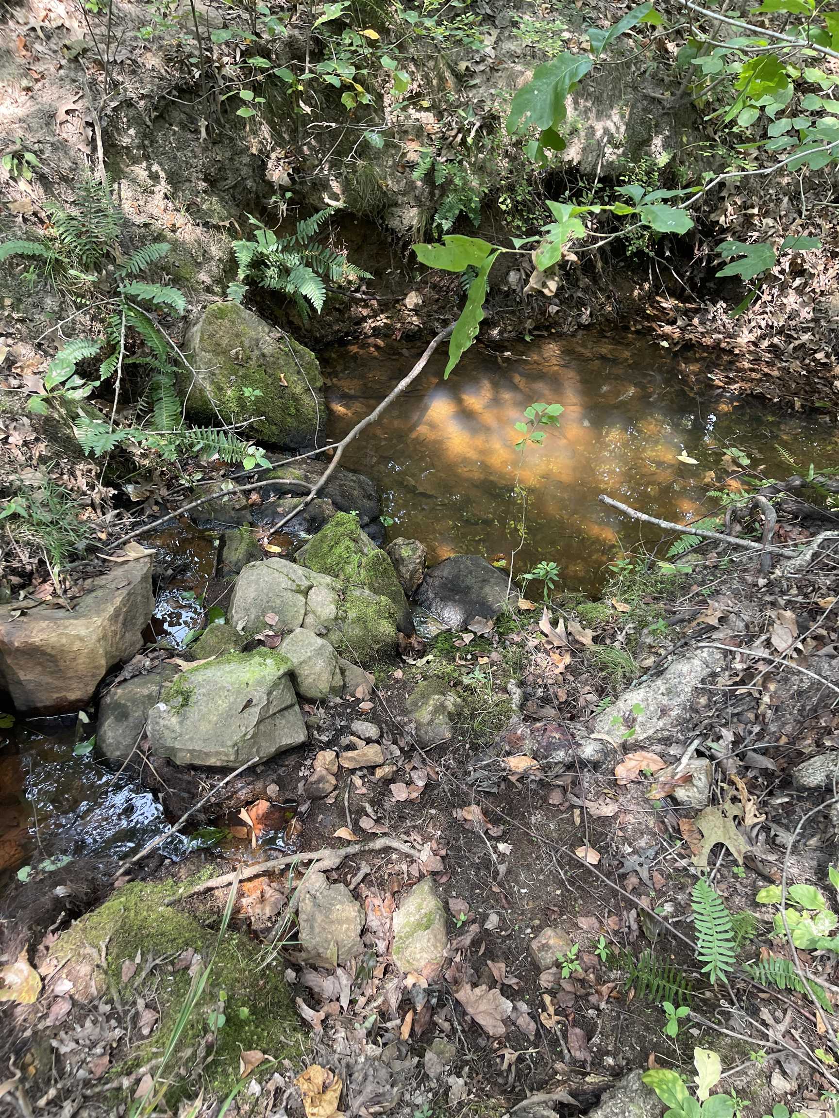 Photo 26 - Residential for sale – 9238  Elizabeth   Viola, AR