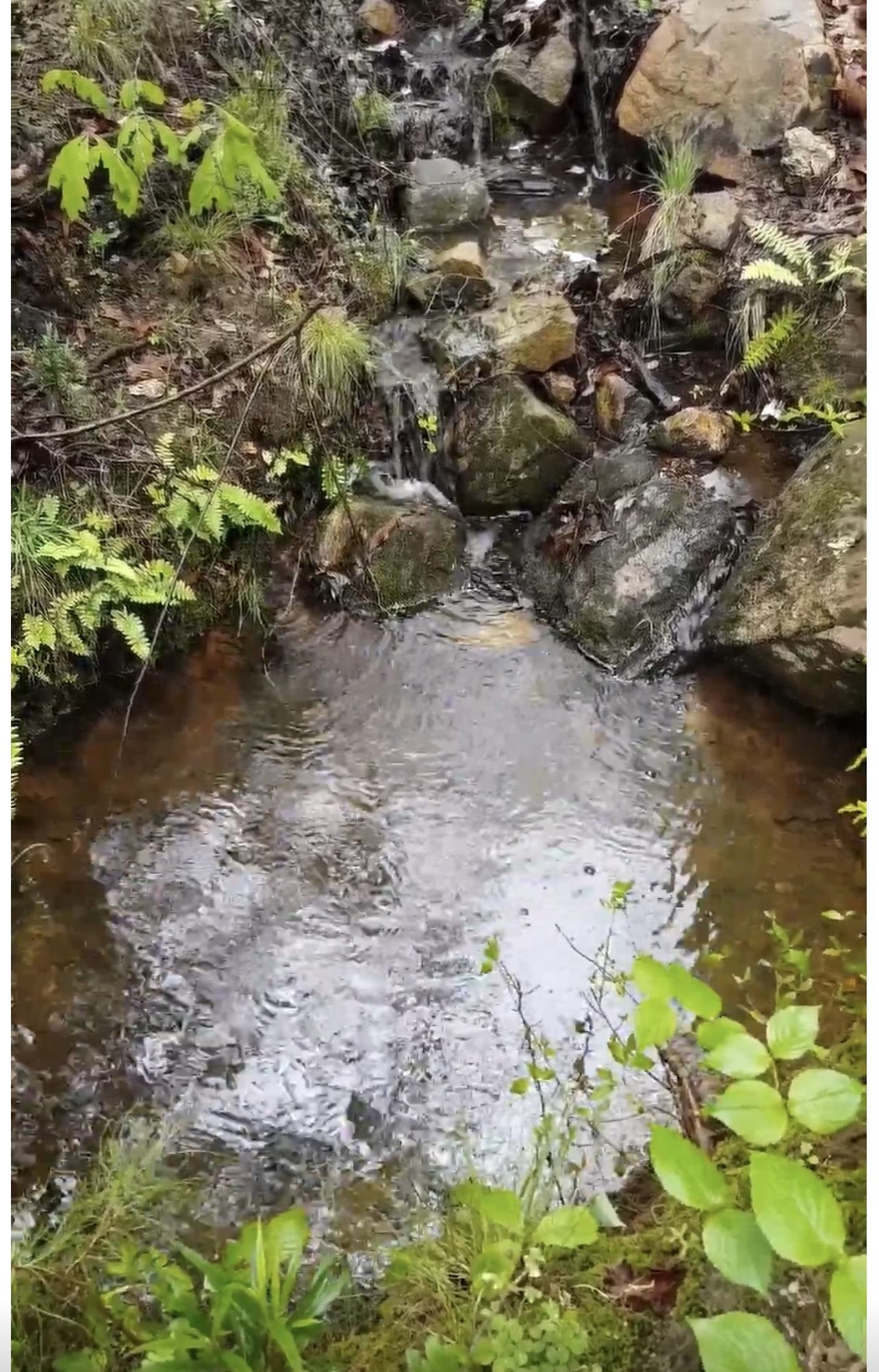 Photo 37 - Residential for sale – 9238  Elizabeth   Viola, AR