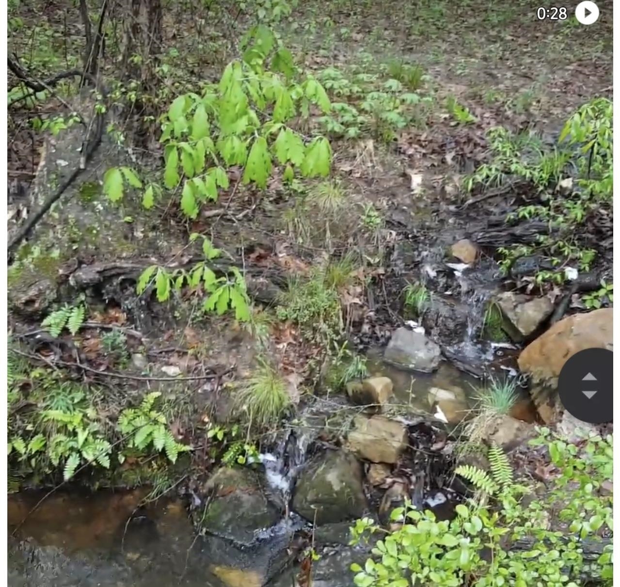 Photo 38 - Residential for sale – 9238  Elizabeth   Viola, AR