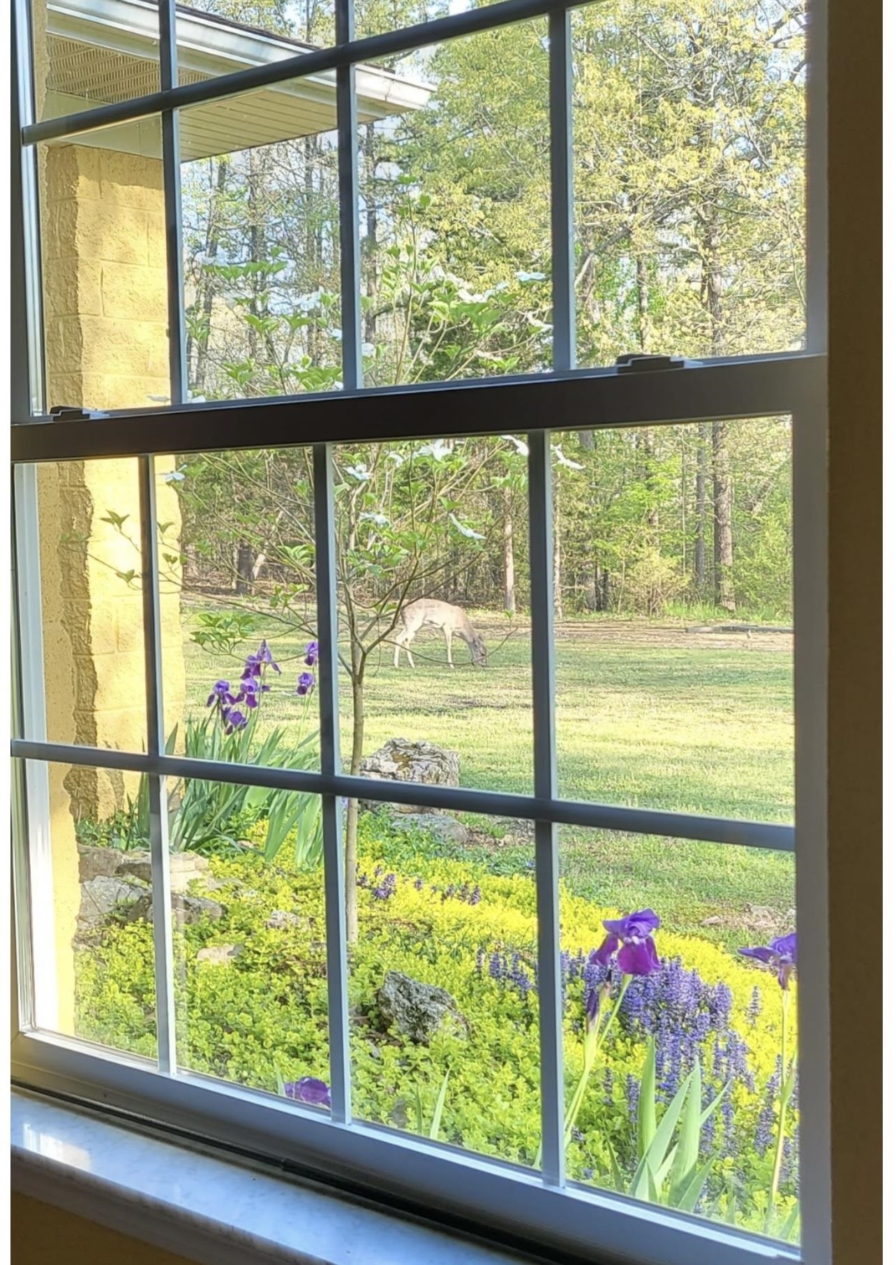 Photo 39 - Residential for sale – 9238  Elizabeth   Viola, AR