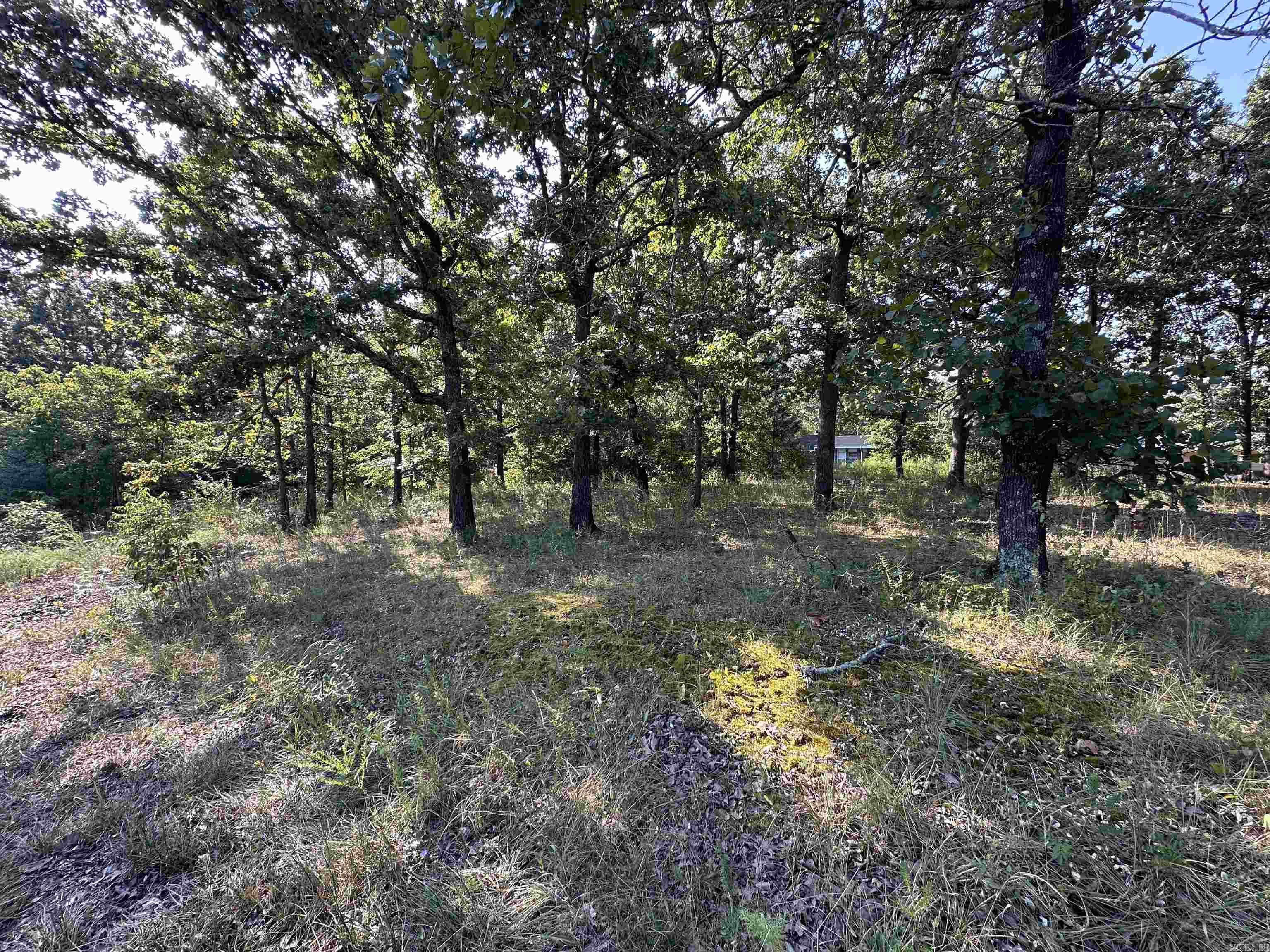 Vacant Land for sale – 305,307 & 309  Ruby Ln   Horseshoe Bend, AR