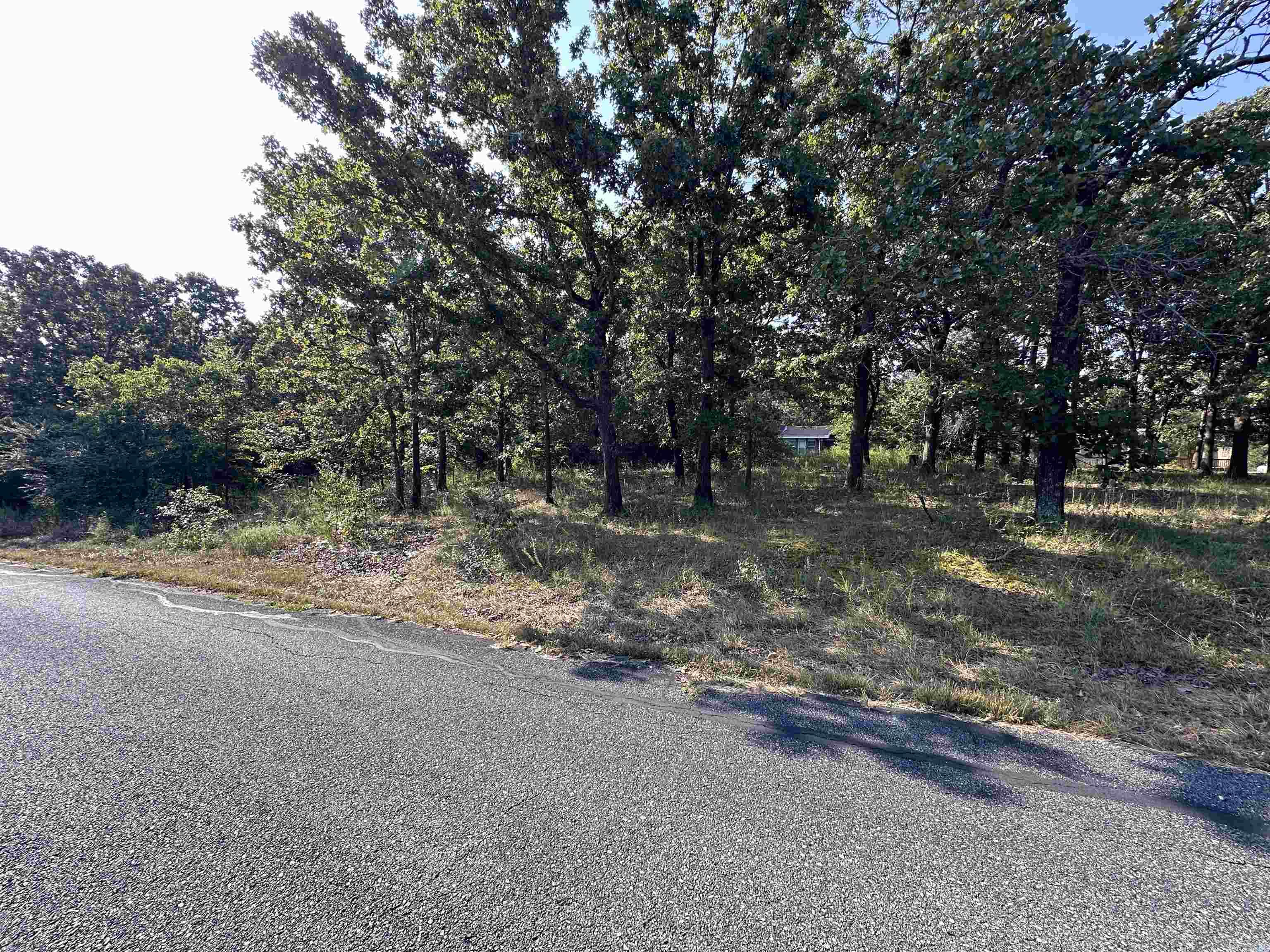 Photo 2 - Vacant Land for sale – 305,307 & 309  Ruby Ln   Horseshoe Bend, AR