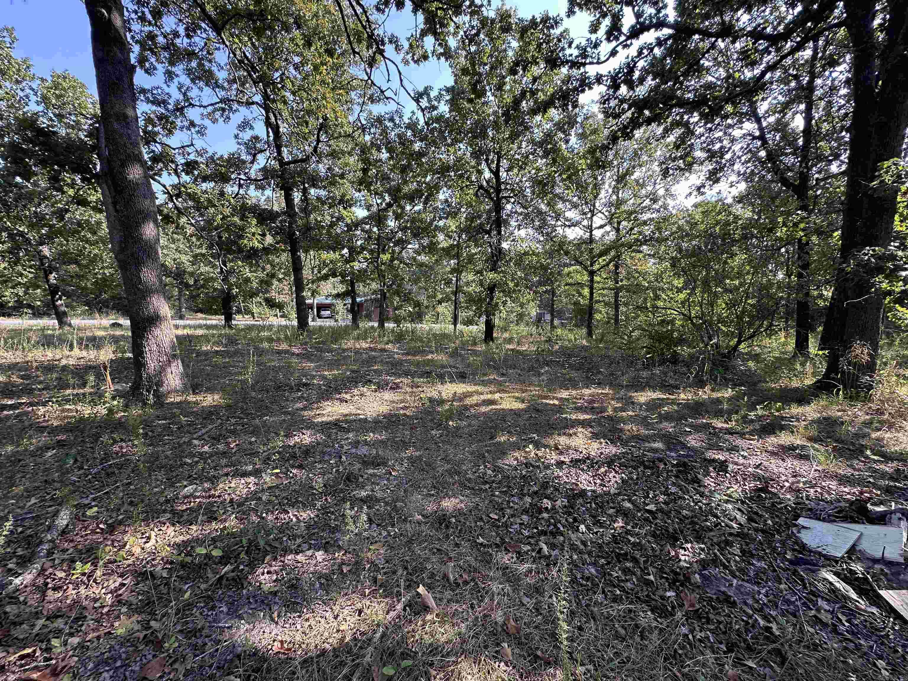 Photo 3 - Vacant Land for sale – 305,307 & 309  Ruby Ln   Horseshoe Bend, AR