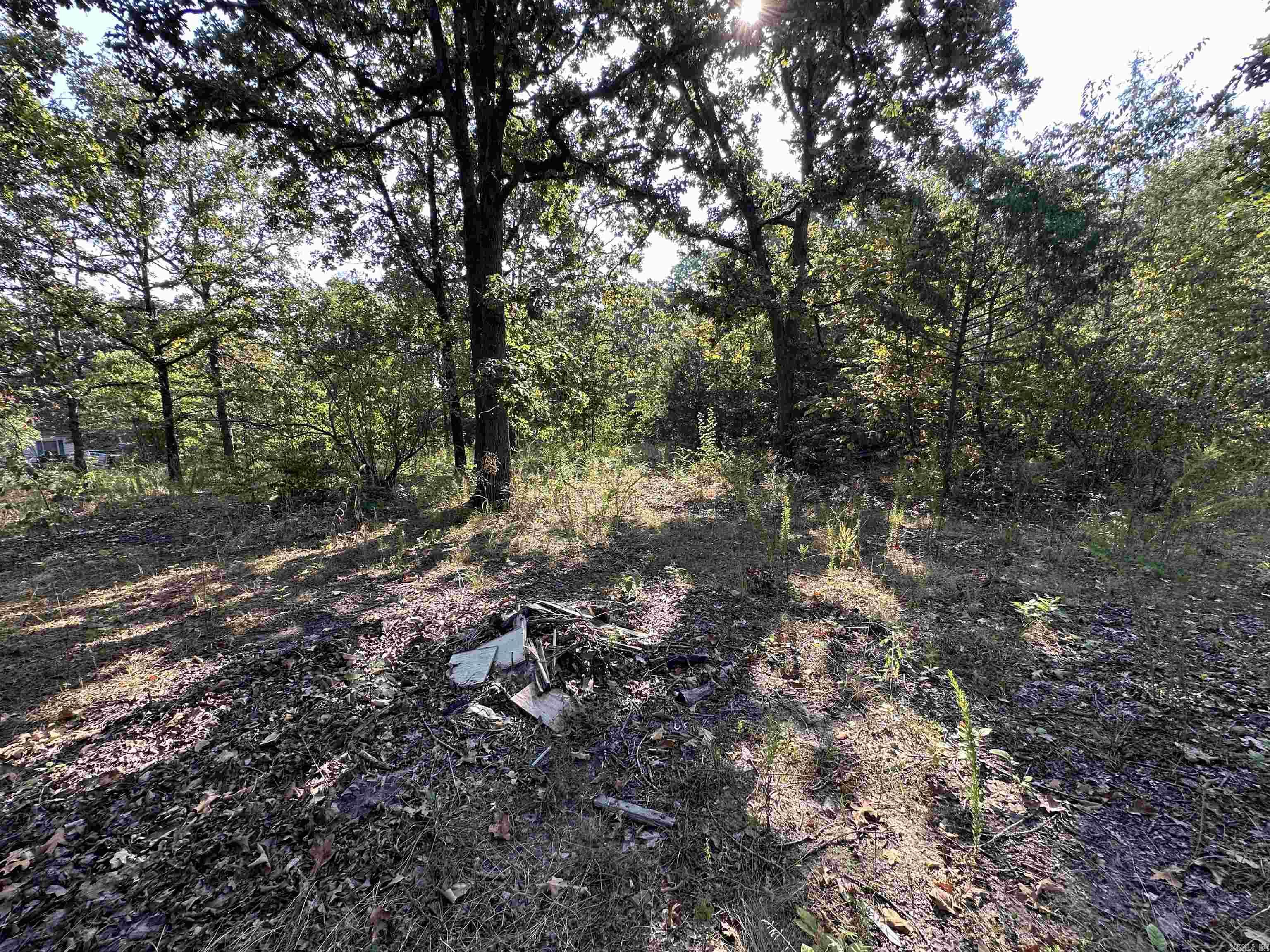 Photo 4 - Vacant Land for sale – 305,307 & 309  Ruby Ln   Horseshoe Bend, AR