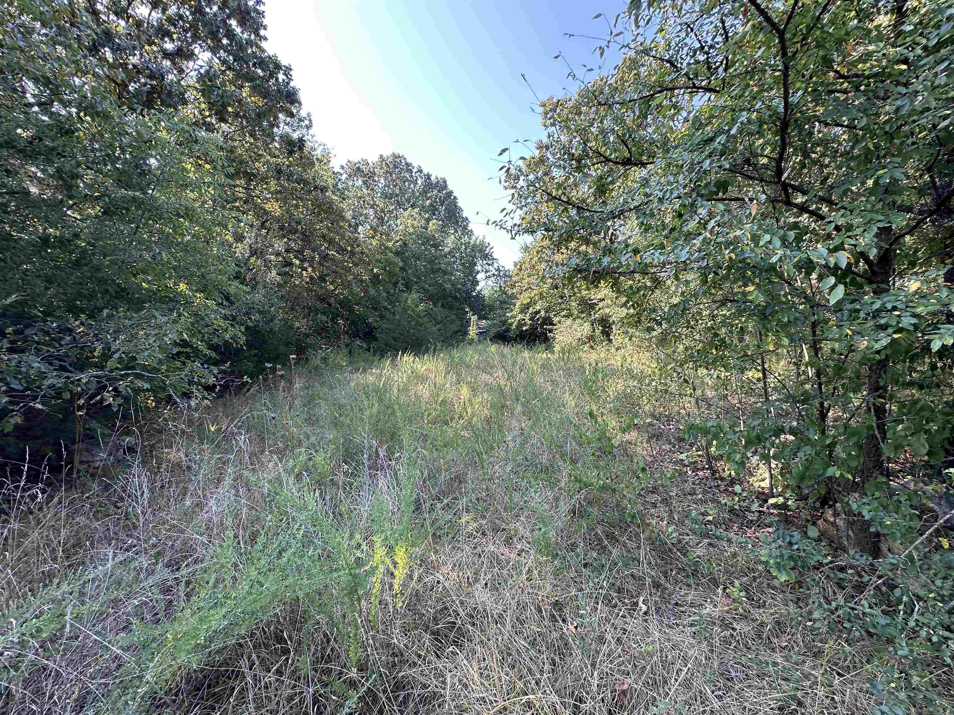 Photo 5 - Vacant Land for sale – 305,307 & 309  Ruby Ln   Horseshoe Bend, AR