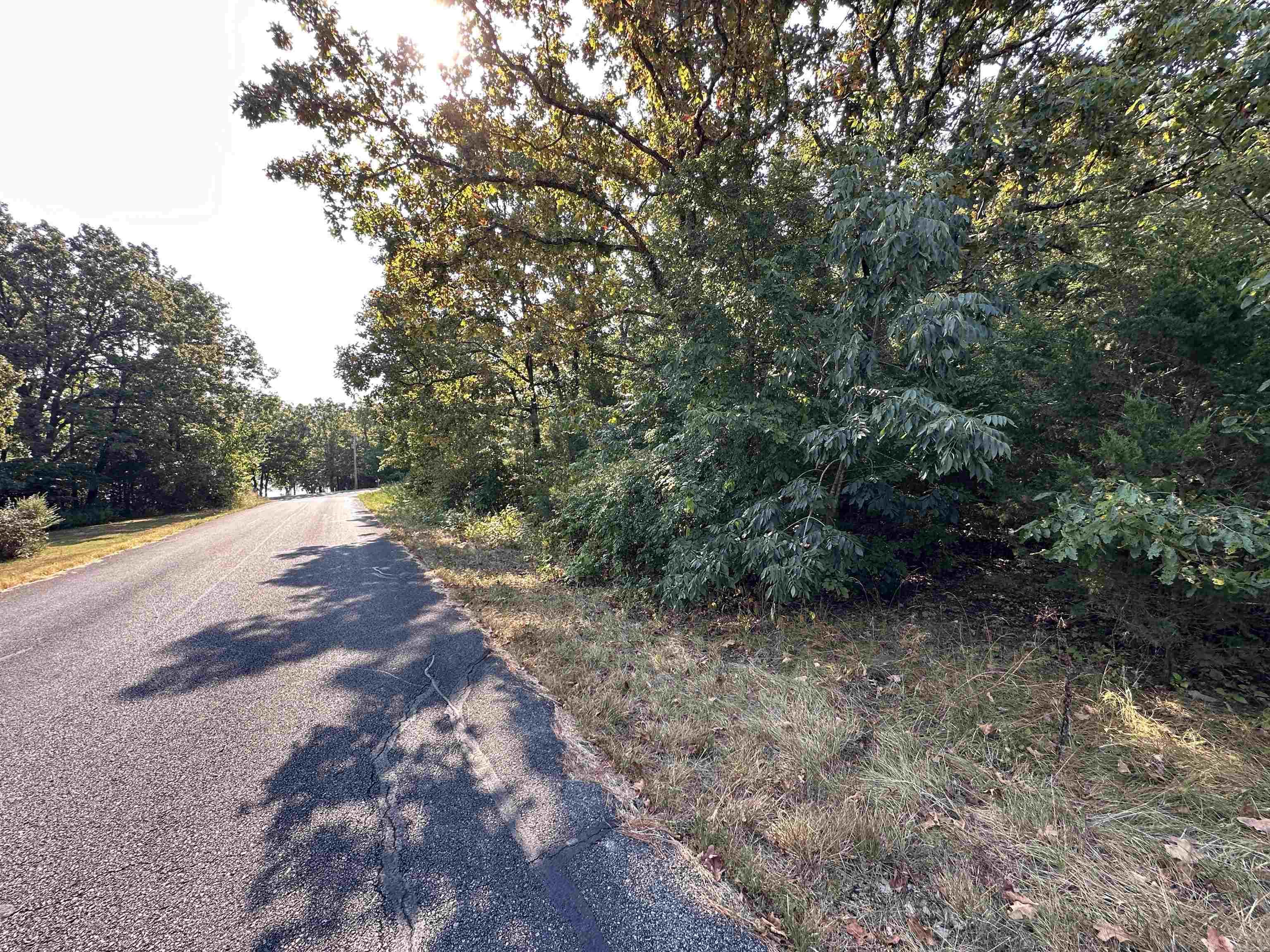 Photo 6 - Vacant Land for sale – 305,307 & 309  Ruby Ln   Horseshoe Bend, AR