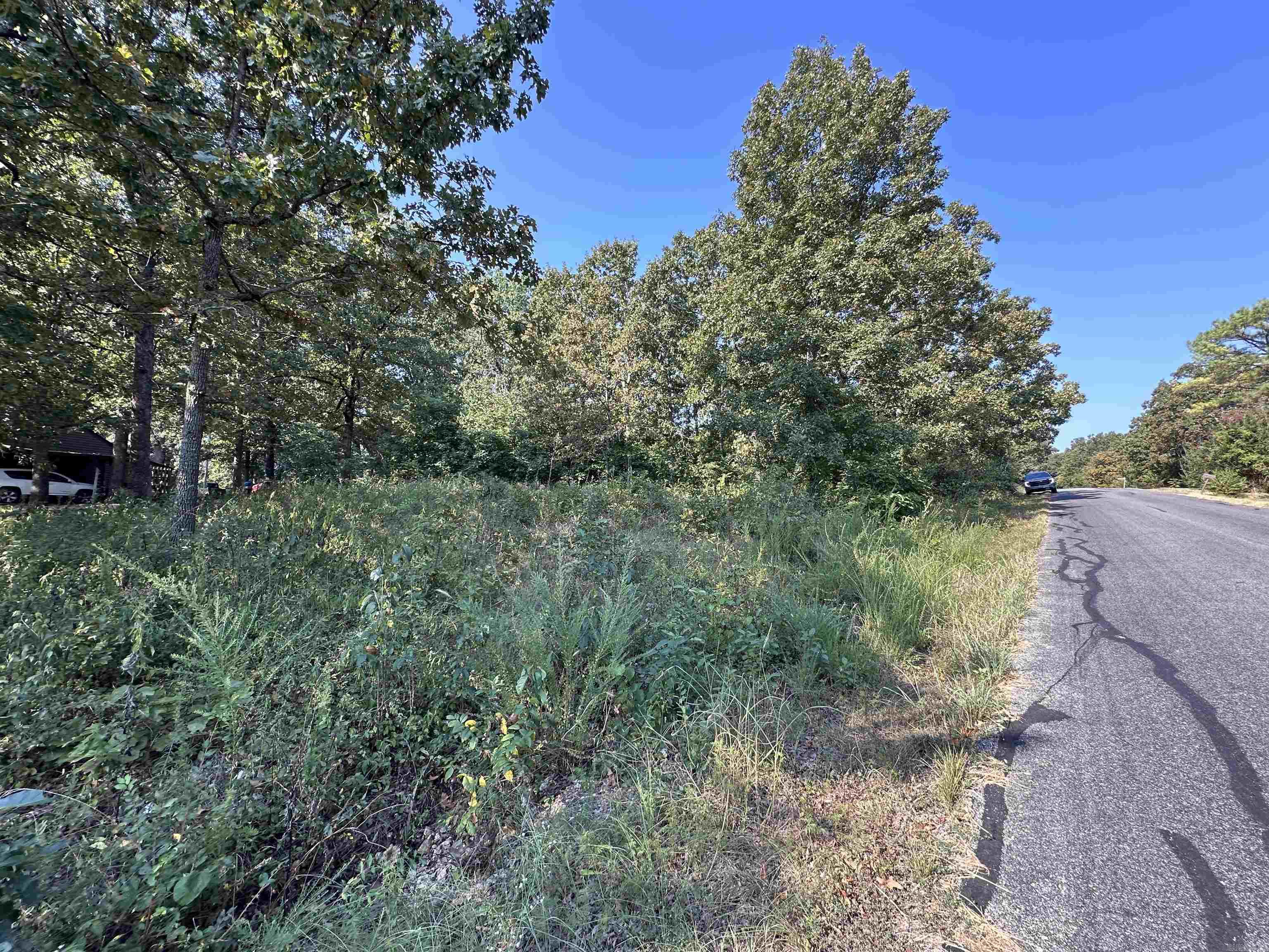 Photo 9 - Vacant Land for sale – 305,307 & 309  Ruby Ln   Horseshoe Bend, AR