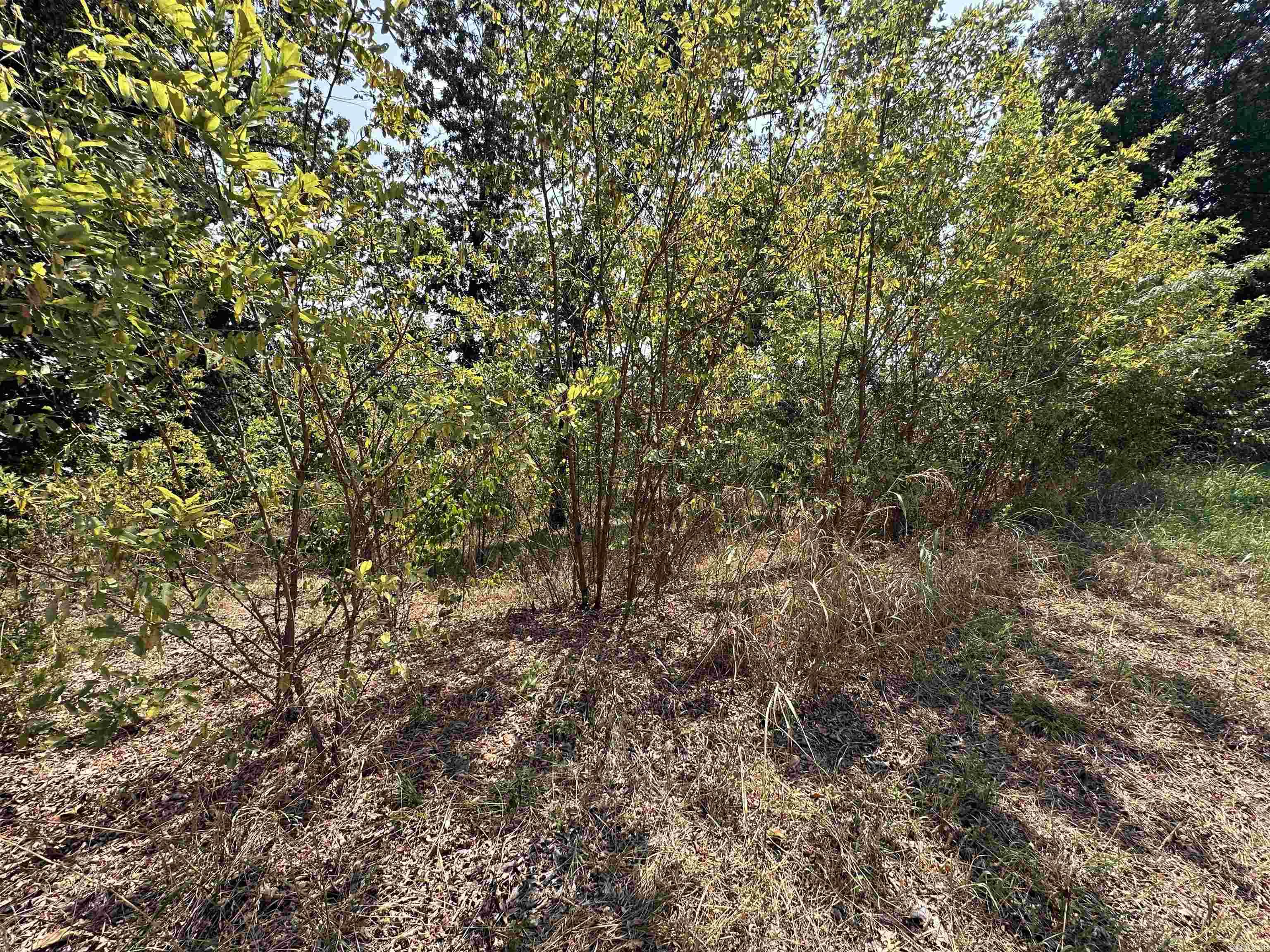 Vacant Land for sale – 1302 & 1304  View Park Cir   Horseshoe Bend, AR