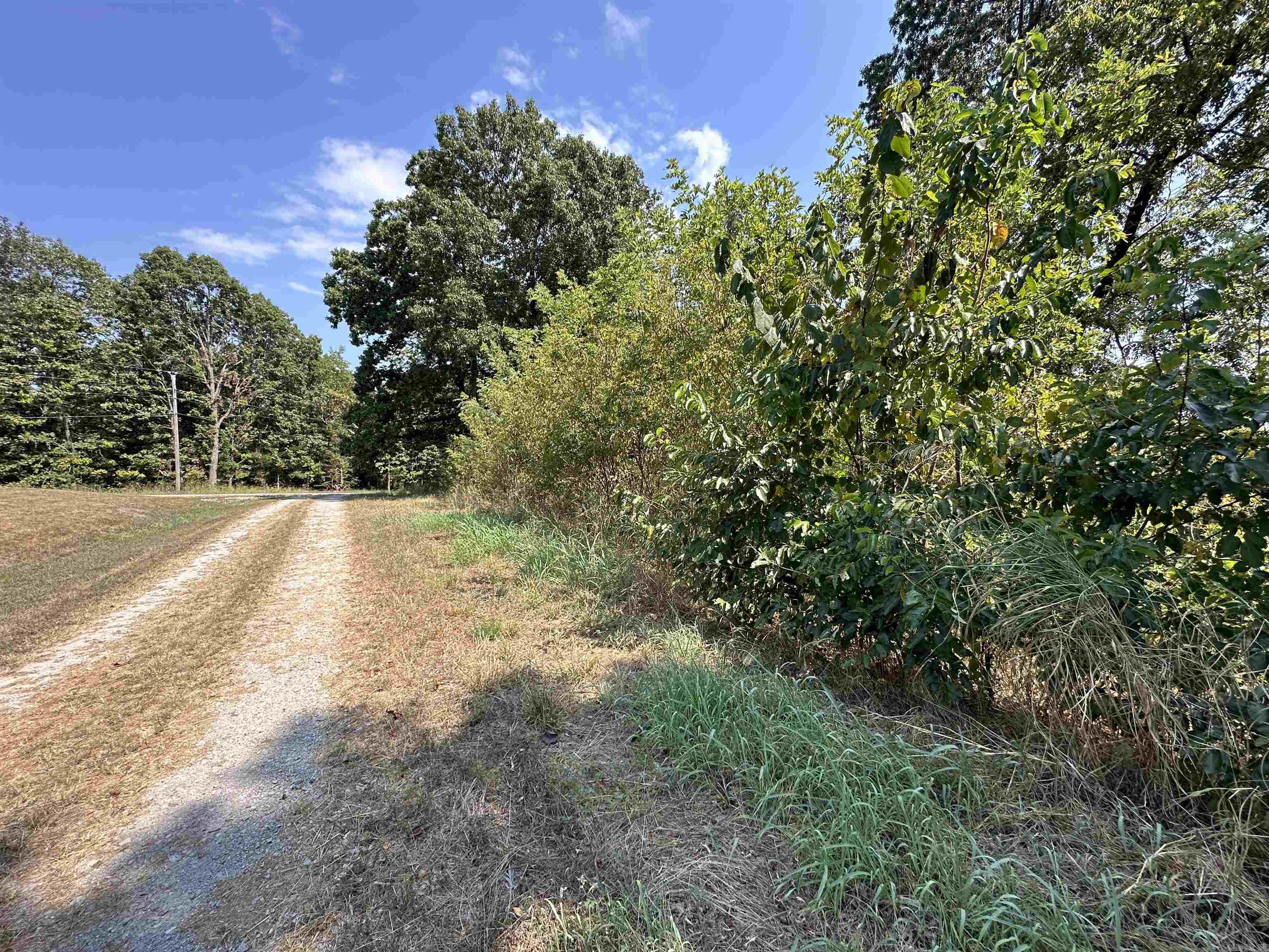 Photo 2 - Vacant Land for sale – 1302 & 1304  View Park Cir   Horseshoe Bend, AR