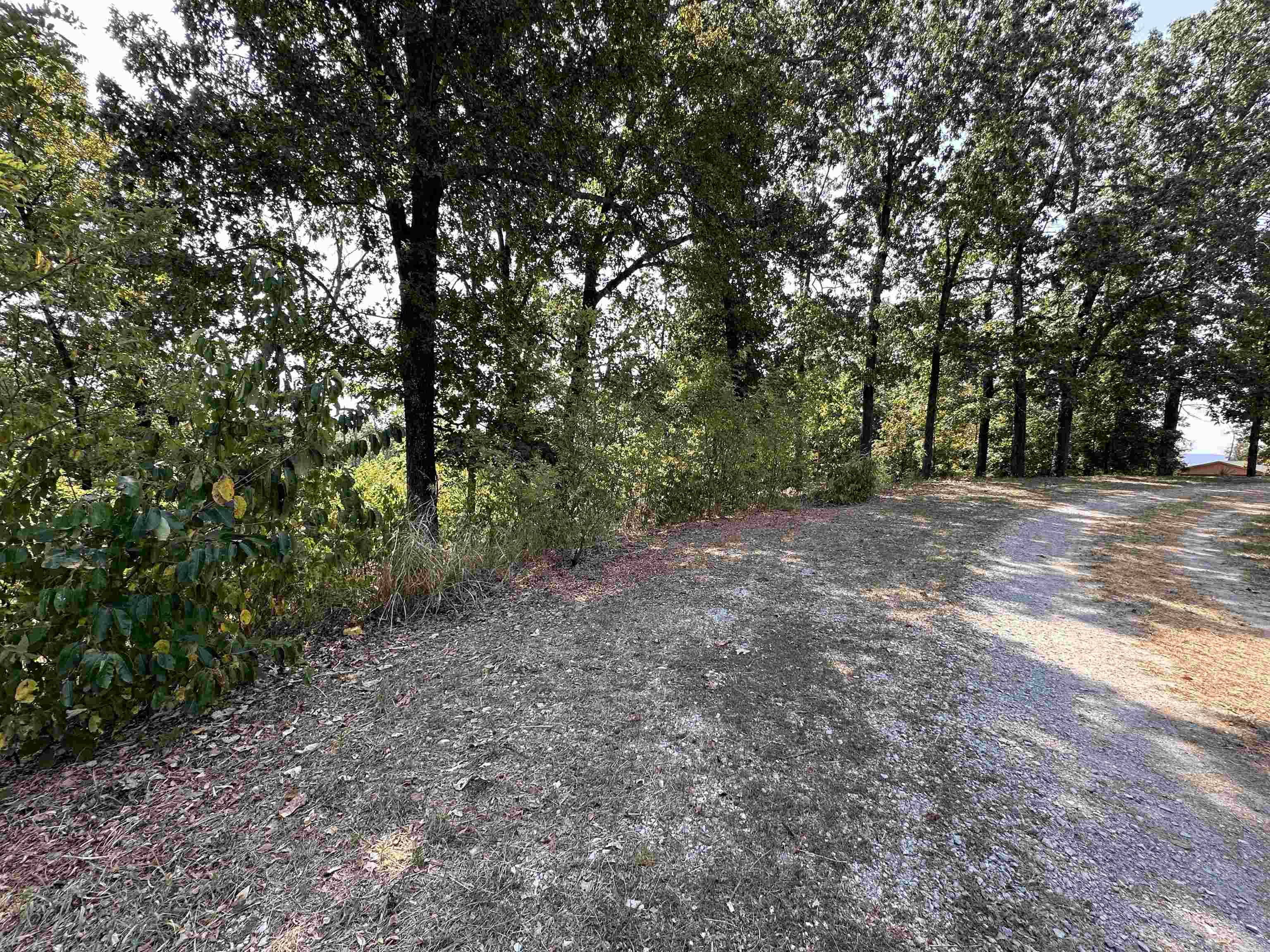 Photo 3 - Vacant Land for sale – 1302 & 1304  View Park Cir   Horseshoe Bend, AR