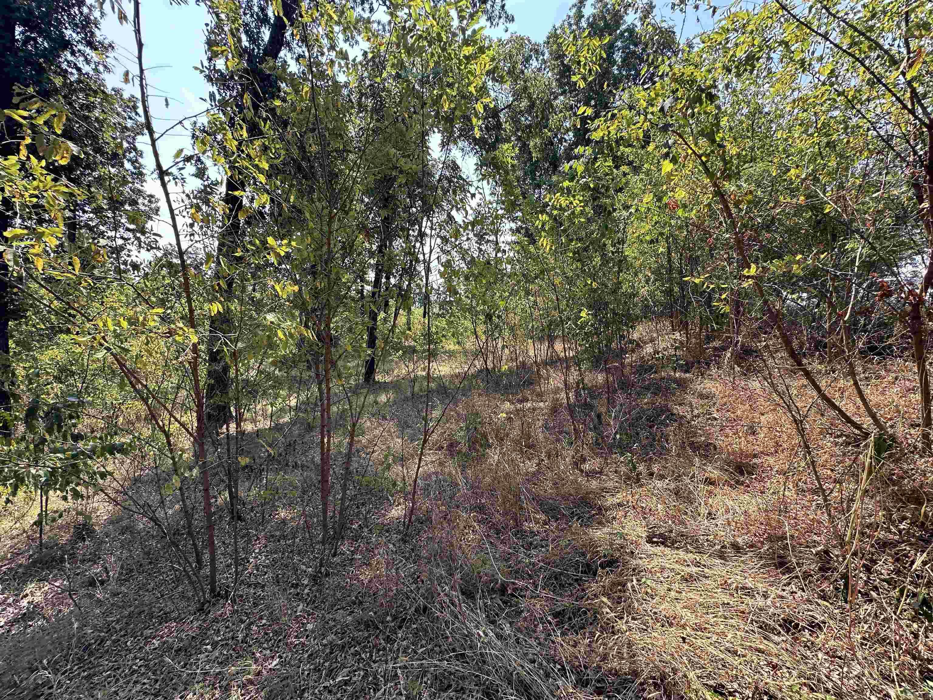 Photo 4 - Vacant Land for sale – 1302 & 1304  View Park Cir   Horseshoe Bend, AR