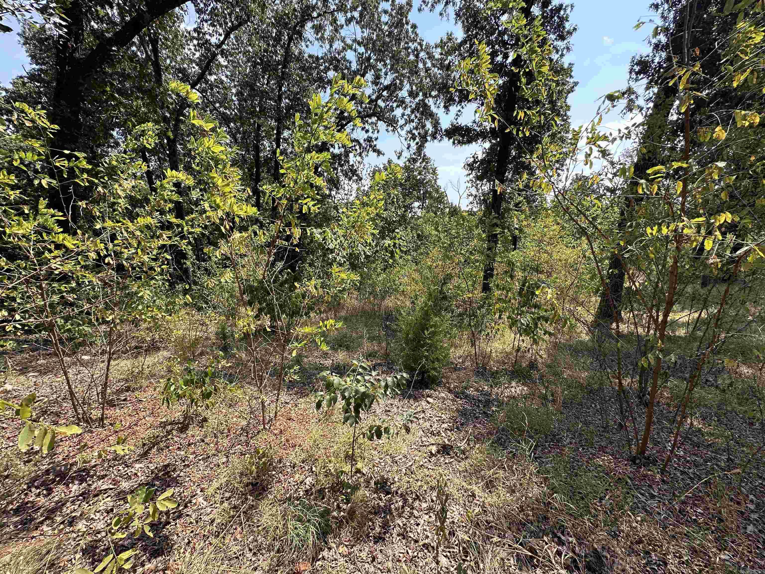 Photo 5 - Vacant Land for sale – 1302 & 1304  View Park Cir   Horseshoe Bend, AR