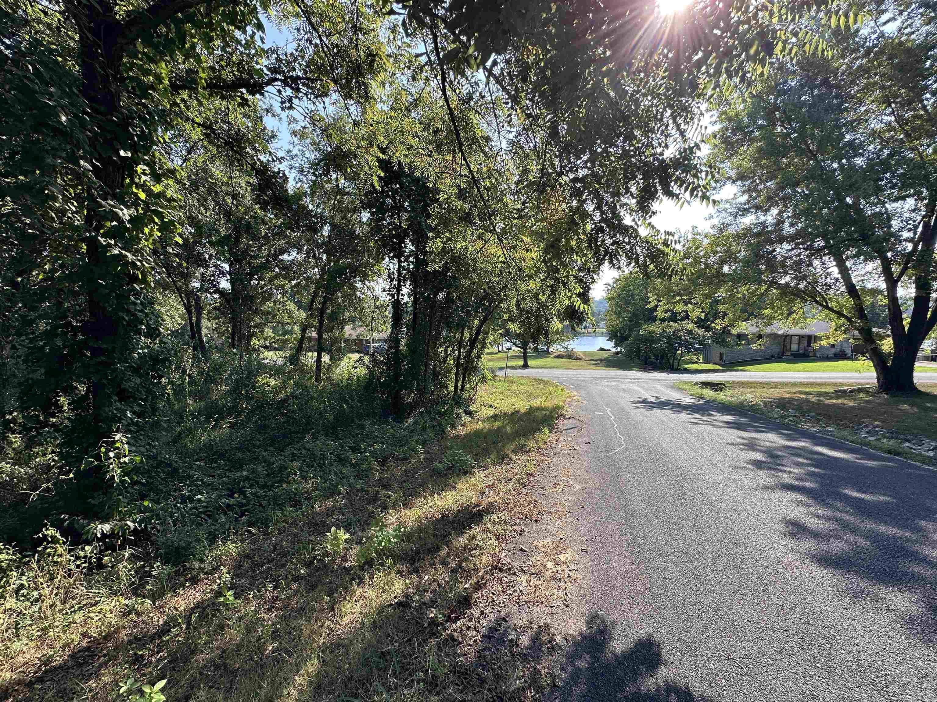 Photo 2 - Vacant Land for sale – 308  Diamond Ln   Horseshoe Bend, AR