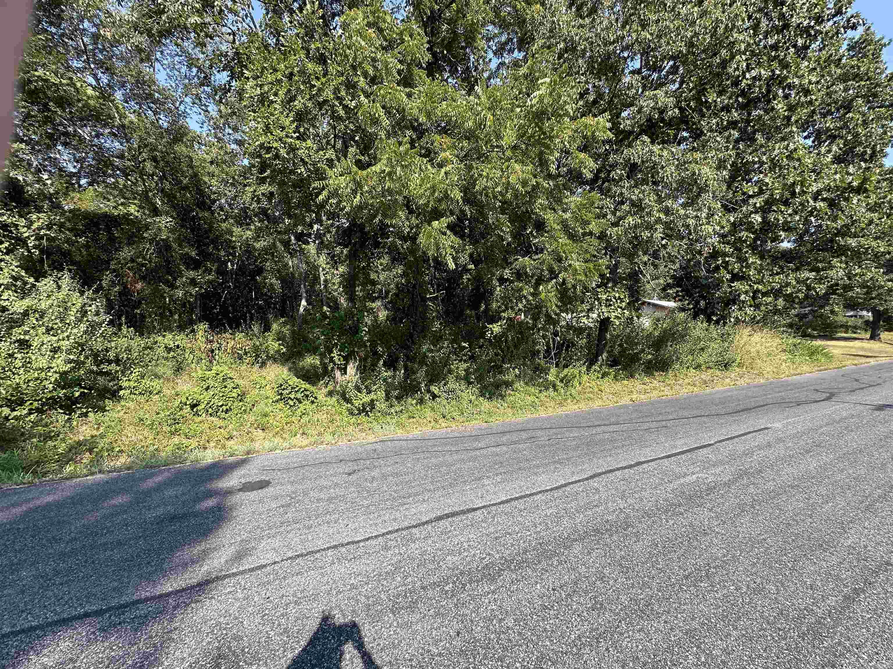 Photo 3 - Vacant Land for sale – 308  Diamond Ln   Horseshoe Bend, AR