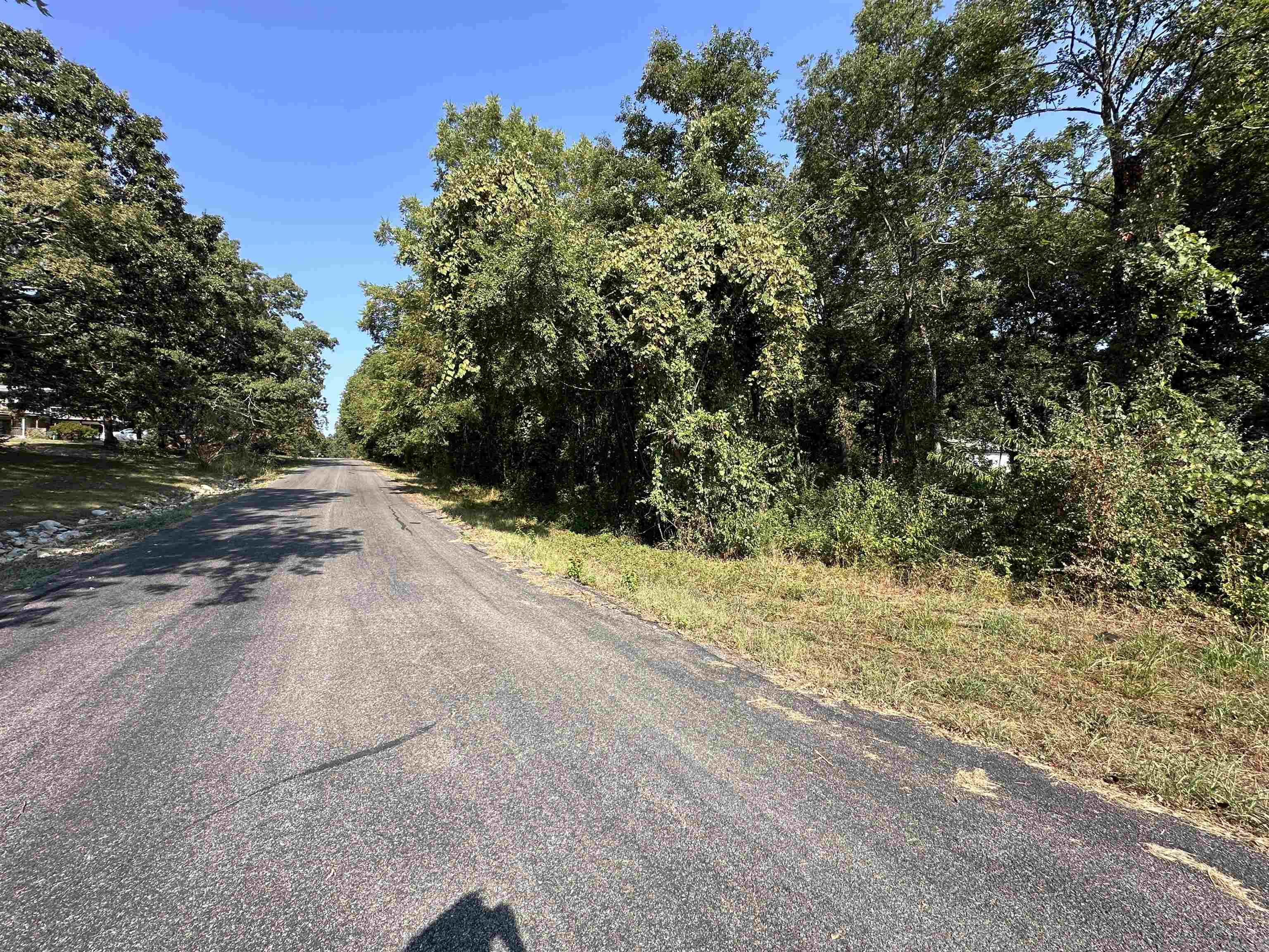 Photo 4 - Vacant Land for sale – 308  Diamond Ln   Horseshoe Bend, AR