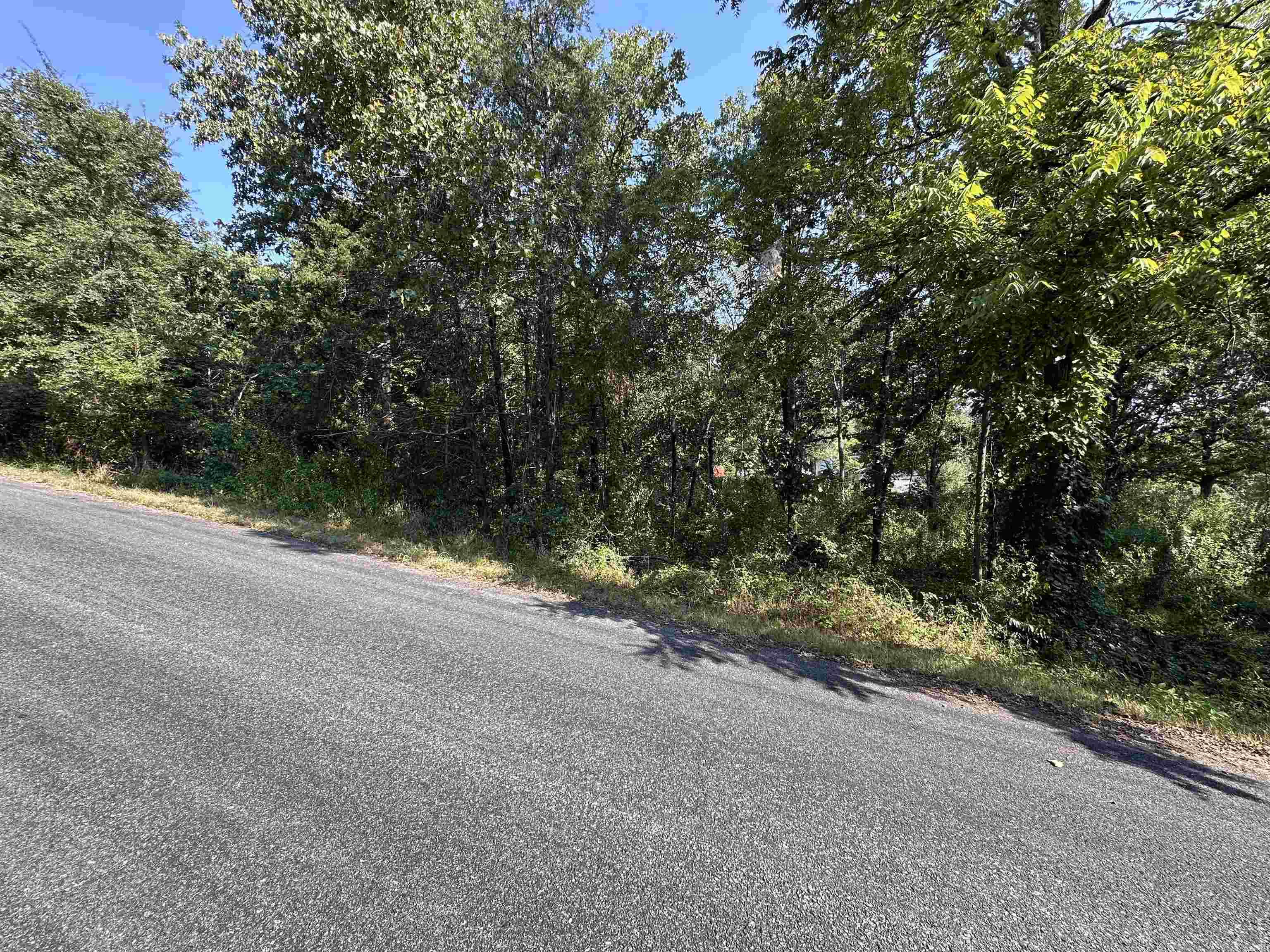 Photo 5 - Vacant Land for sale – 308  Diamond Ln   Horseshoe Bend, AR