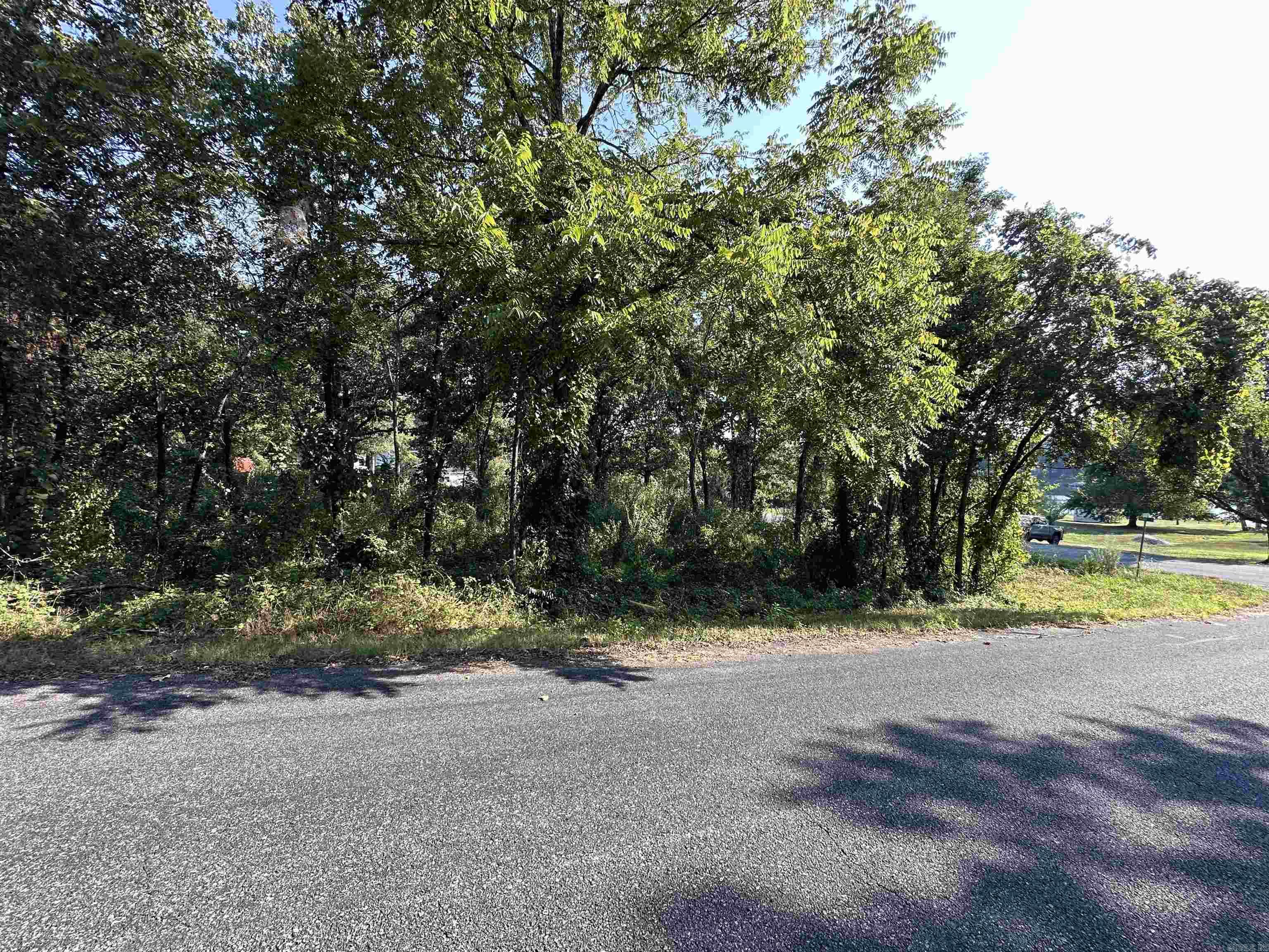 Photo 6 - Vacant Land for sale – 308  Diamond Ln   Horseshoe Bend, AR
