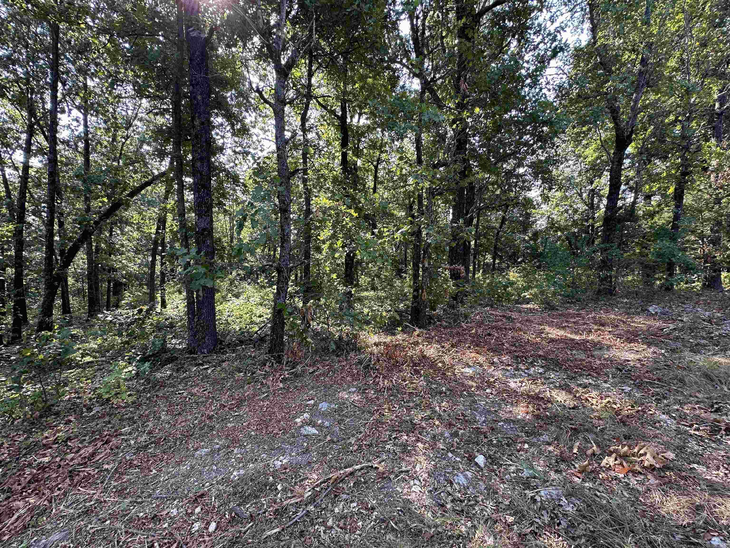 Vacant Land for sale – 600,602,604  Pavilion Ln   Horseshoe Bend, AR