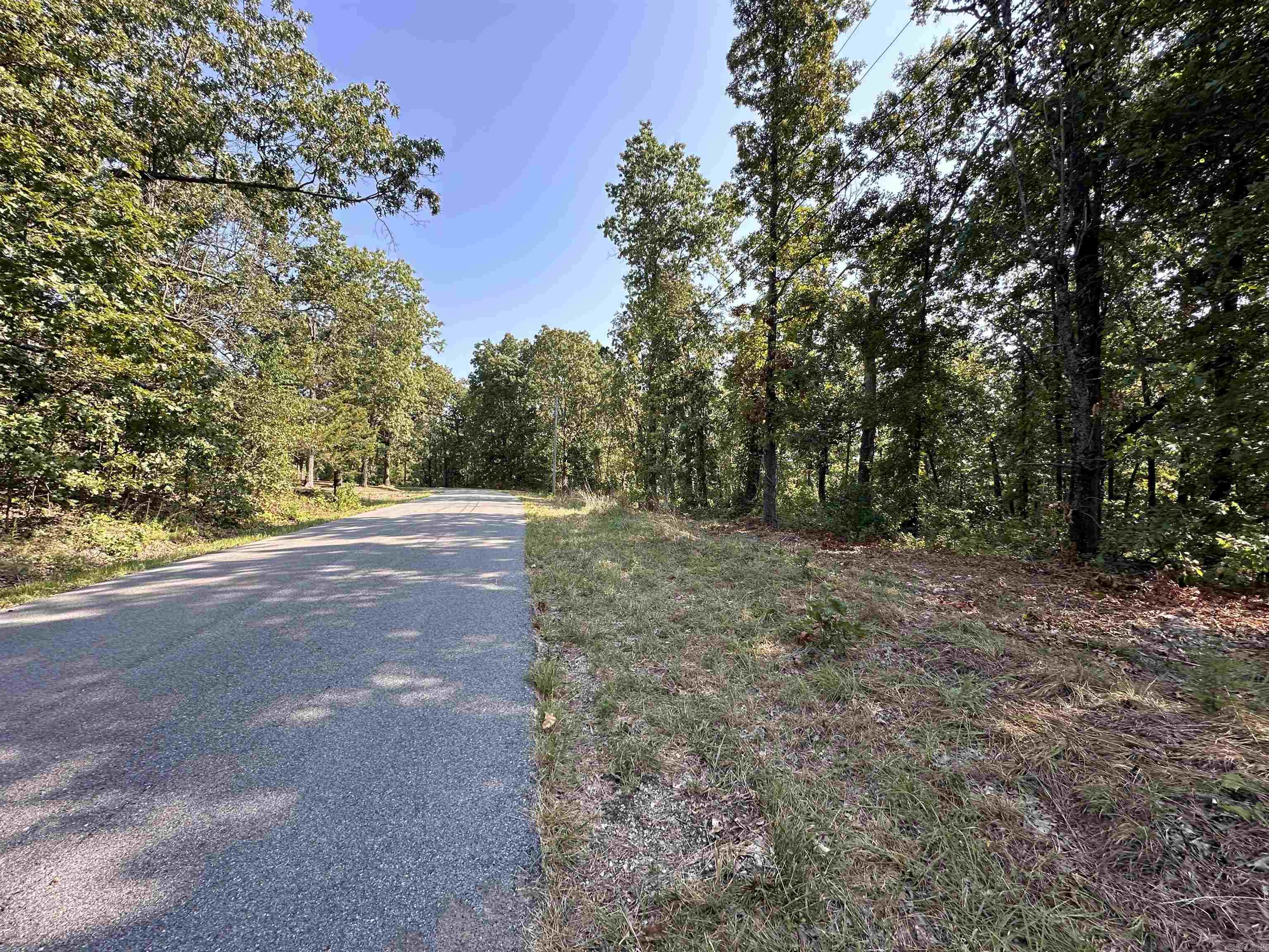 Photo 2 - Vacant Land for sale – 600,602,604  Pavilion Ln   Horseshoe Bend, AR