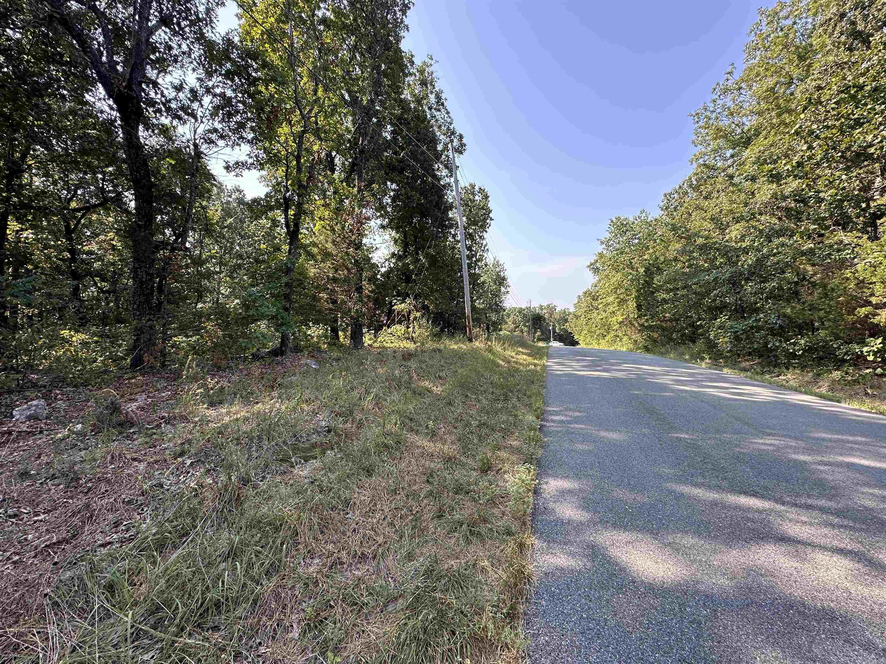 Photo 3 - Vacant Land for sale – 600,602,604  Pavilion Ln   Horseshoe Bend, AR