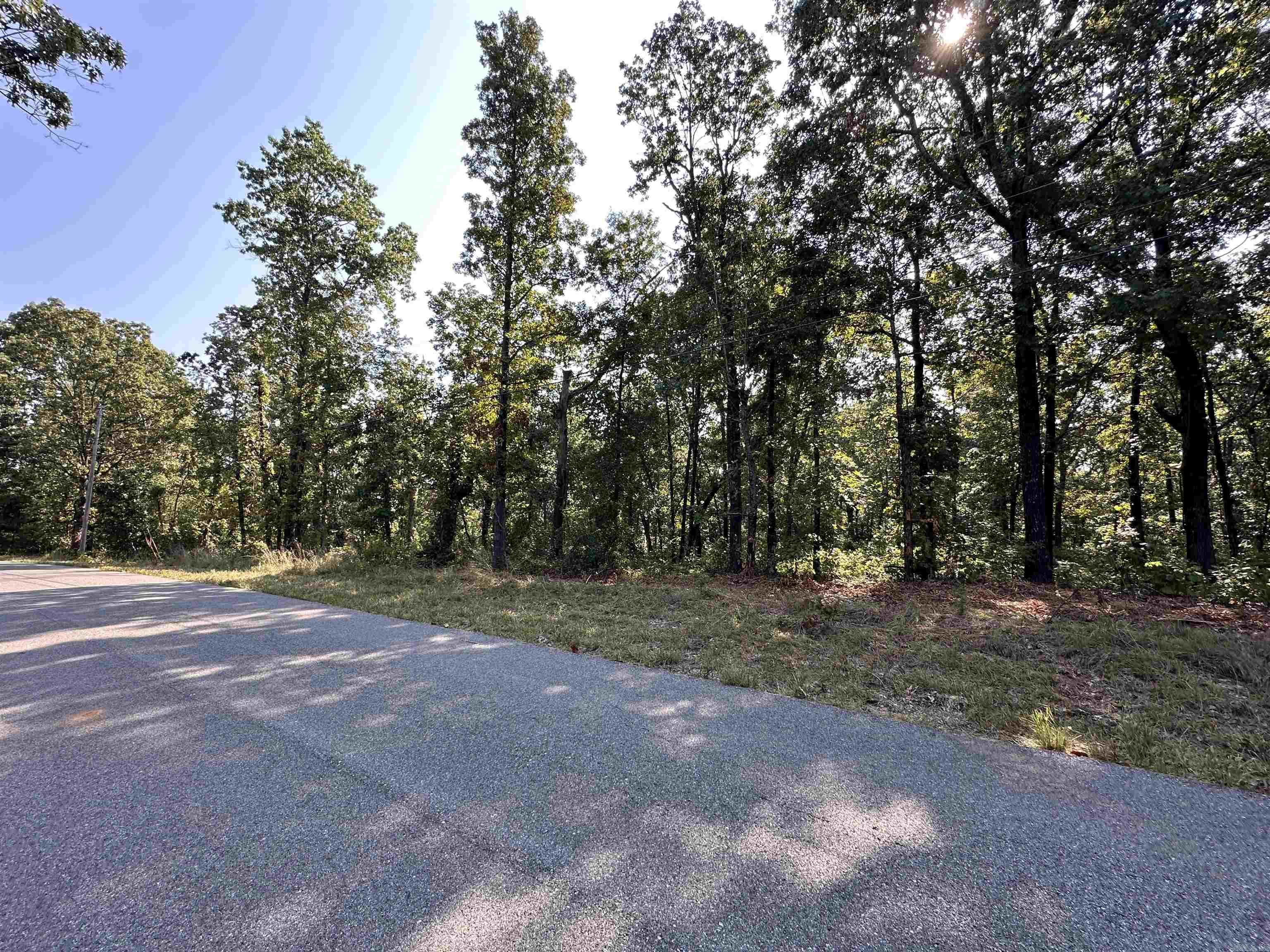 Photo 4 - Vacant Land for sale – 600,602,604  Pavilion Ln   Horseshoe Bend, AR