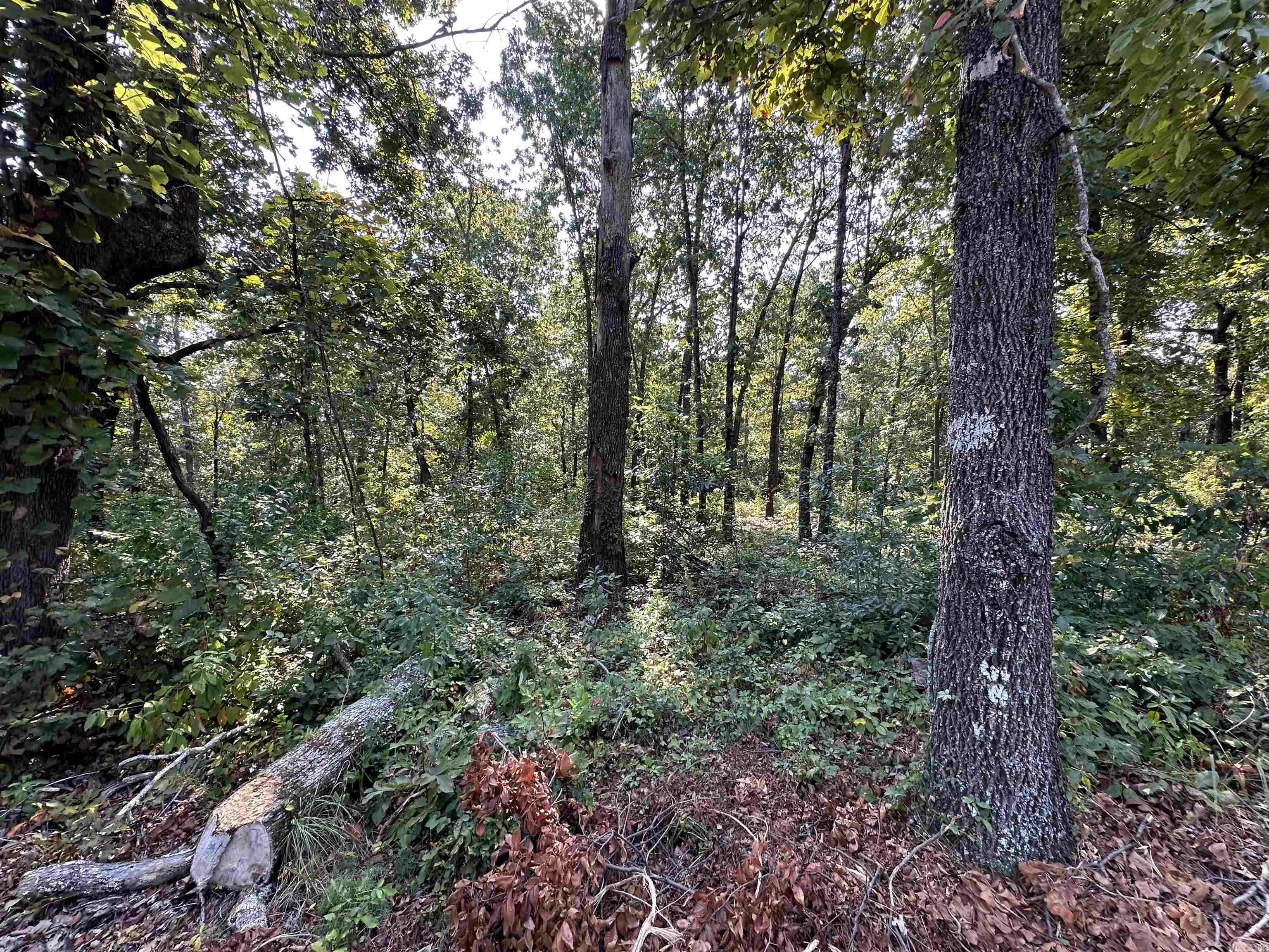 Photo 6 - Vacant Land for sale – 600,602,604  Pavilion Ln   Horseshoe Bend, AR