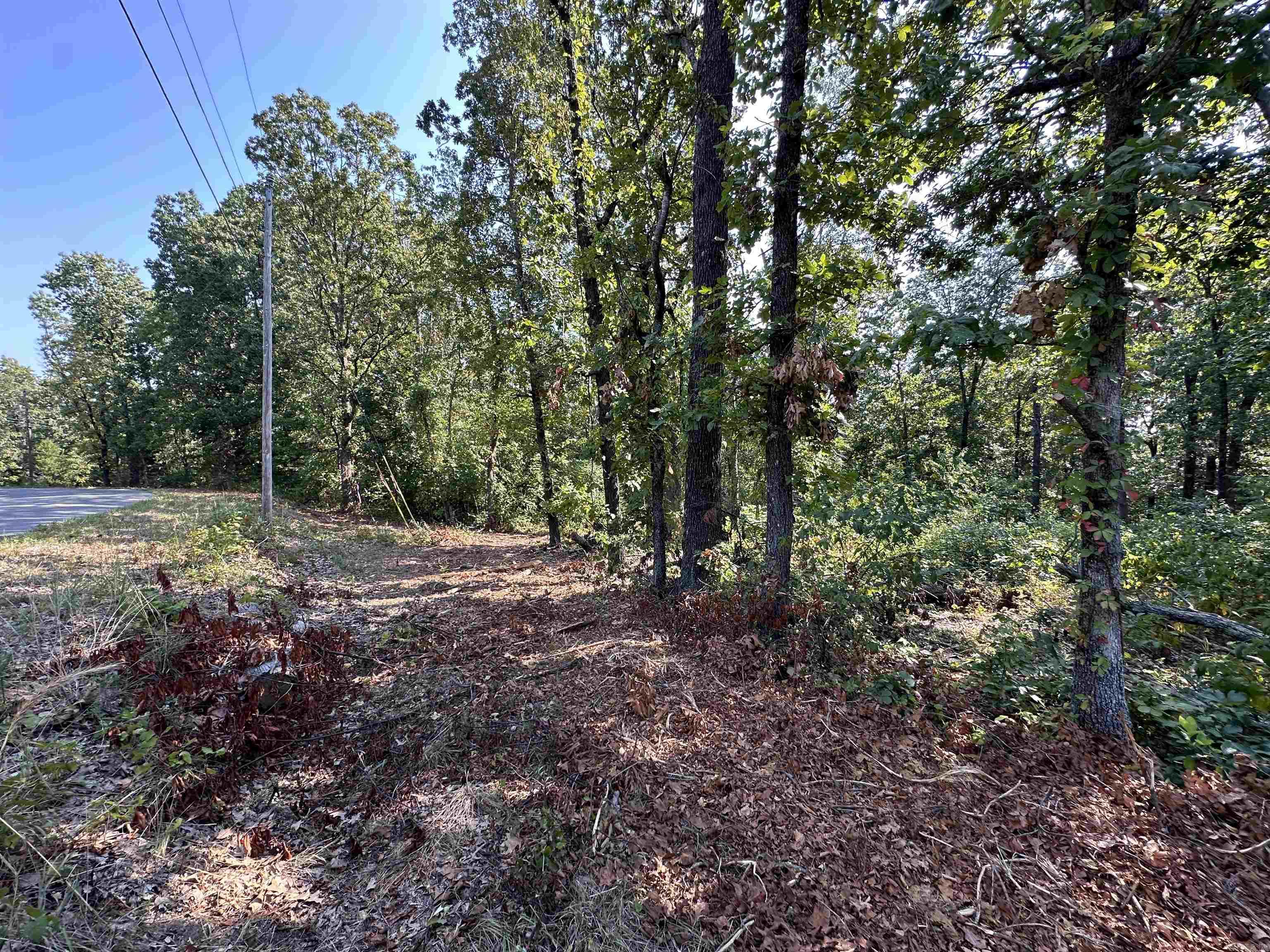 Photo 7 - Vacant Land for sale – 600,602,604  Pavilion Ln   Horseshoe Bend, AR