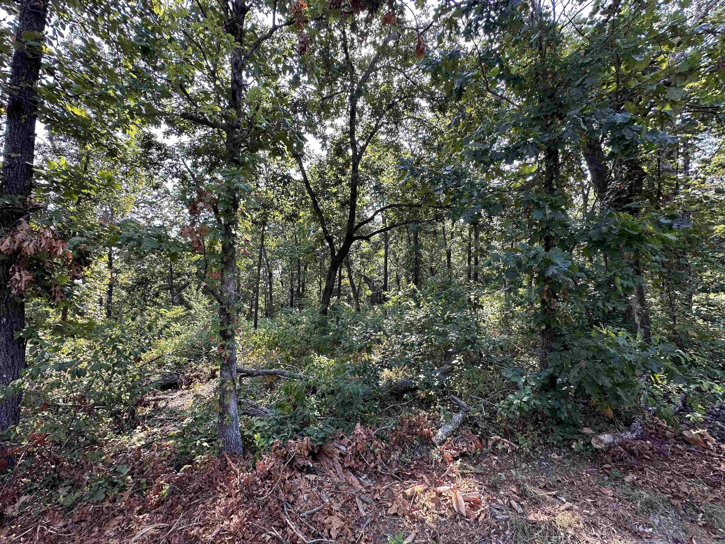 Photo 8 - Vacant Land for sale – 600,602,604  Pavilion Ln   Horseshoe Bend, AR