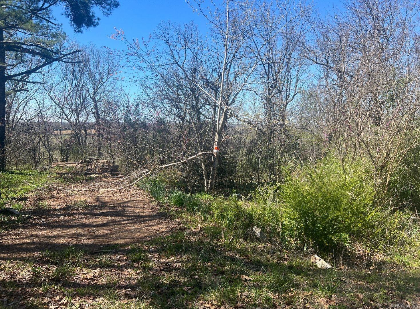 Vacant Land for sale – 1301  Hawk Dr   Horseshoe Bend, AR