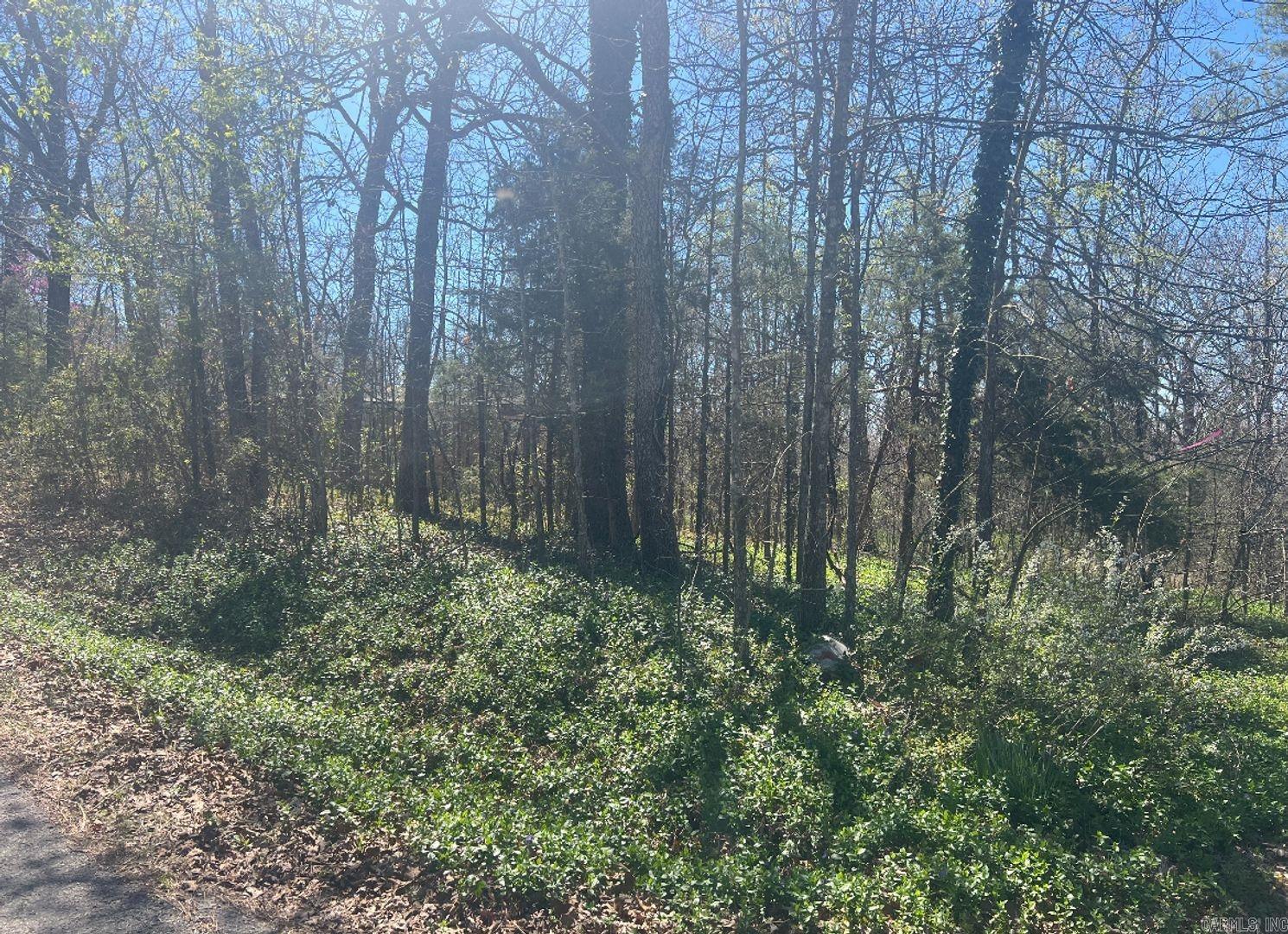 Photo 2 - Vacant Land for sale – 1301  Hawk Dr   Horseshoe Bend, AR