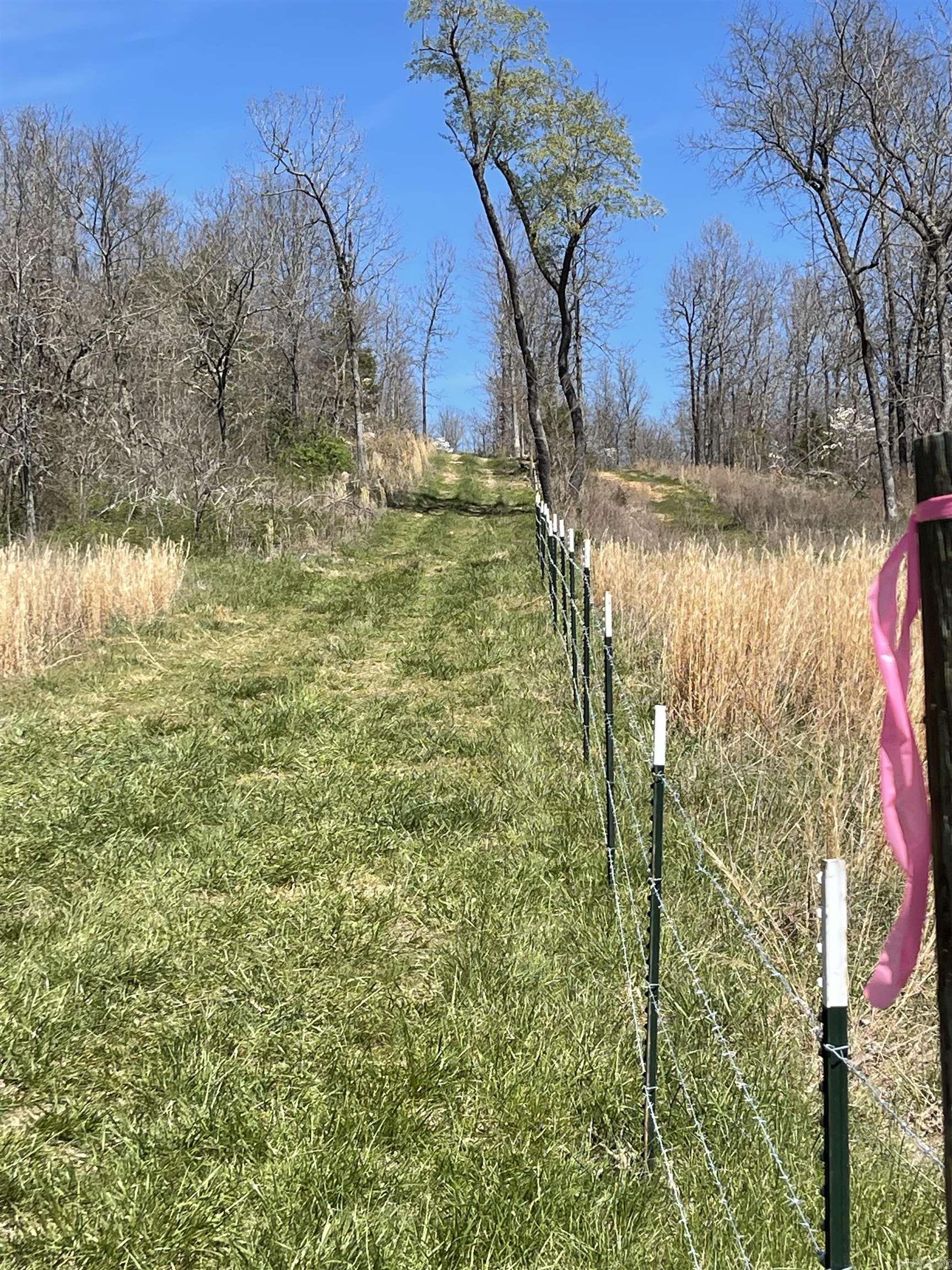 Photo 11 - Vacant Land for sale – 20.17 AC  RAINBOW VALLEY TRAIL   Mammoth Spring, AR