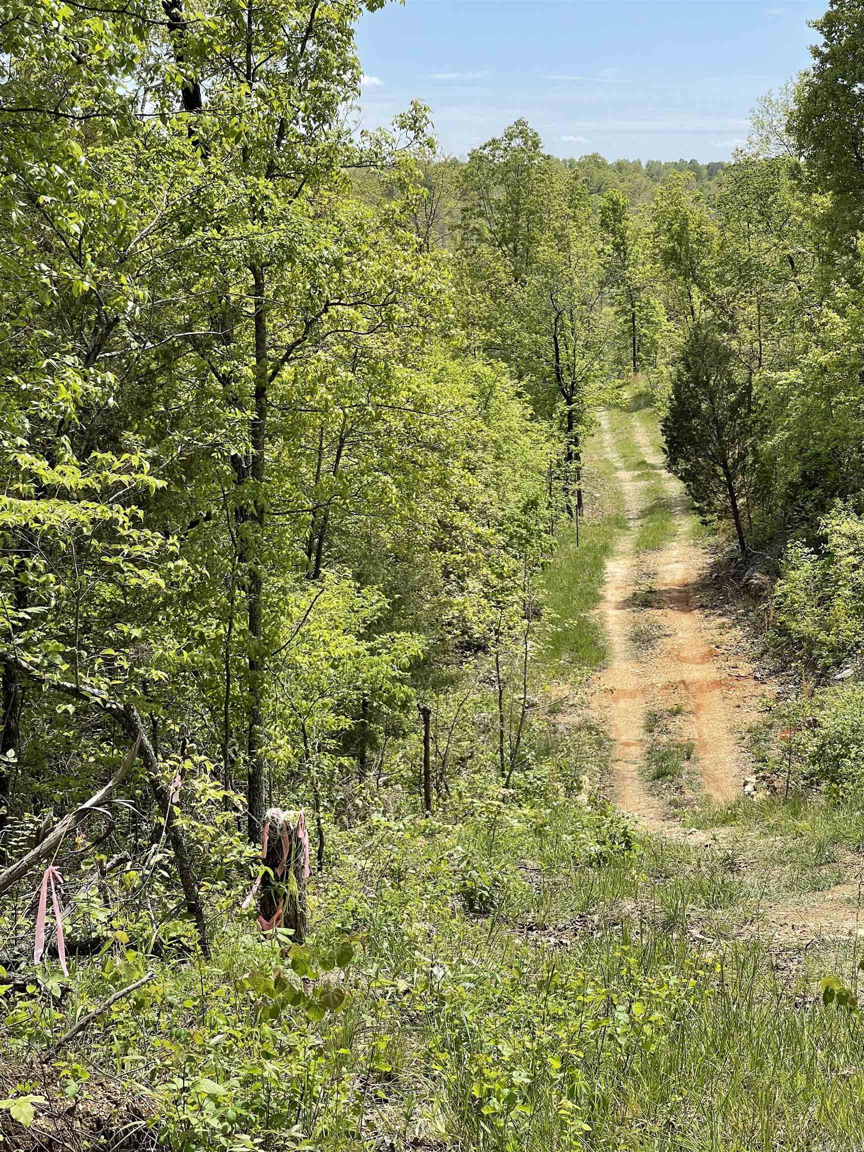 Photo 12 - Vacant Land for sale – 20.17 AC  RAINBOW VALLEY TRAIL   Mammoth Spring, AR