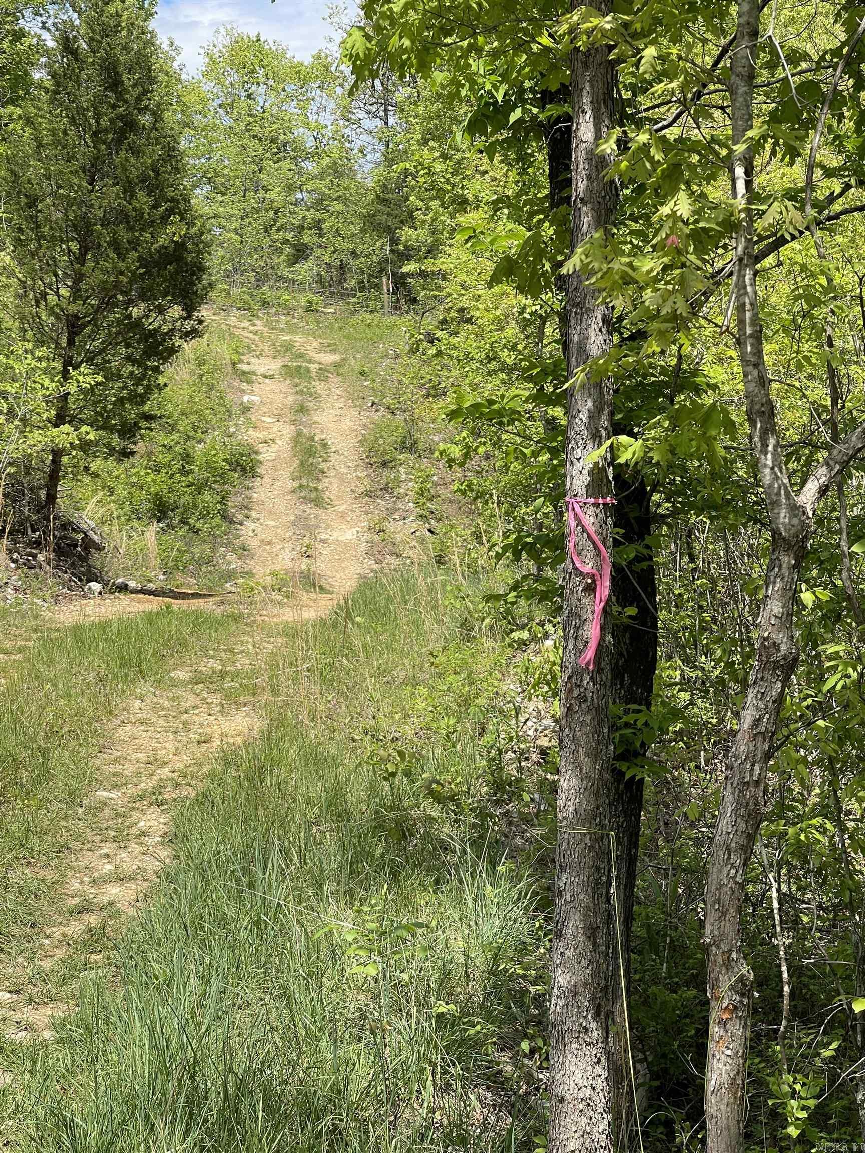 Photo 13 - Vacant Land for sale – 20.17 AC  RAINBOW VALLEY TRAIL   Mammoth Spring, AR