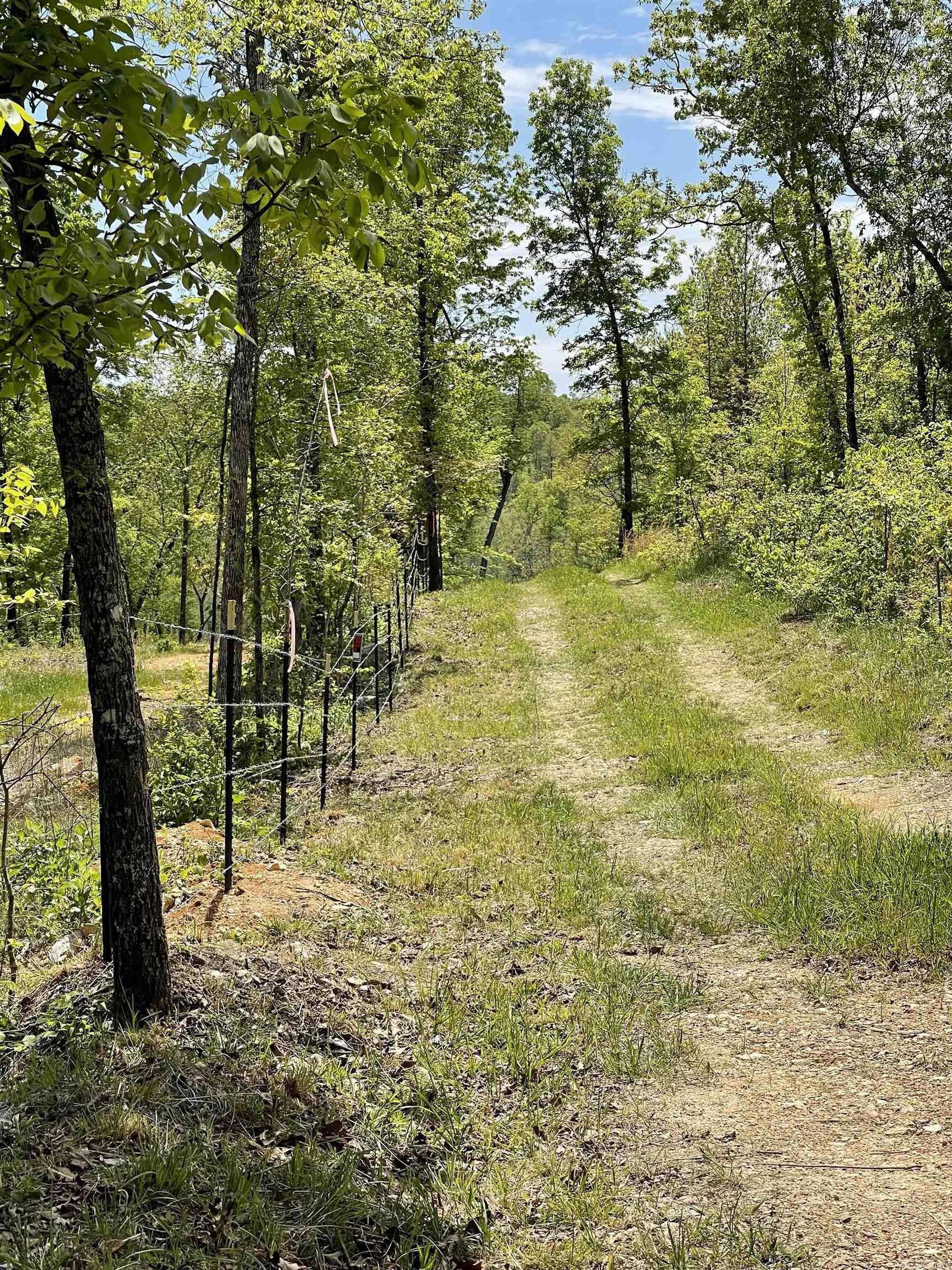 Photo 16 - Vacant Land for sale – 20.17 AC  RAINBOW VALLEY TRAIL   Mammoth Spring, AR