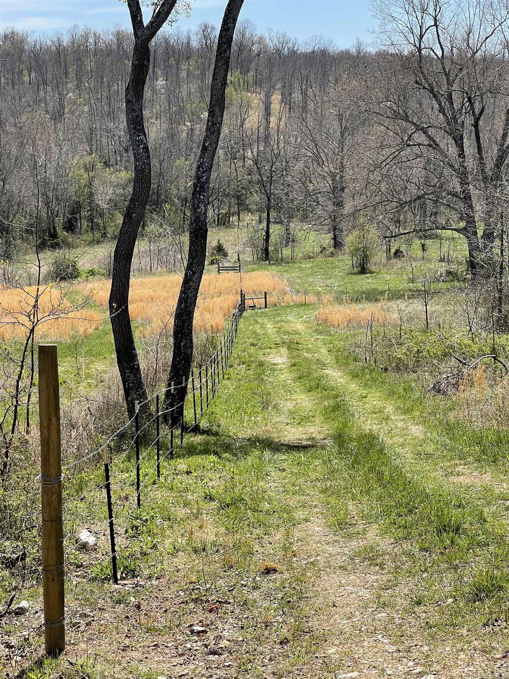 Photo 18 - Vacant Land for sale – 20.17 AC  RAINBOW VALLEY TRAIL   Mammoth Spring, AR