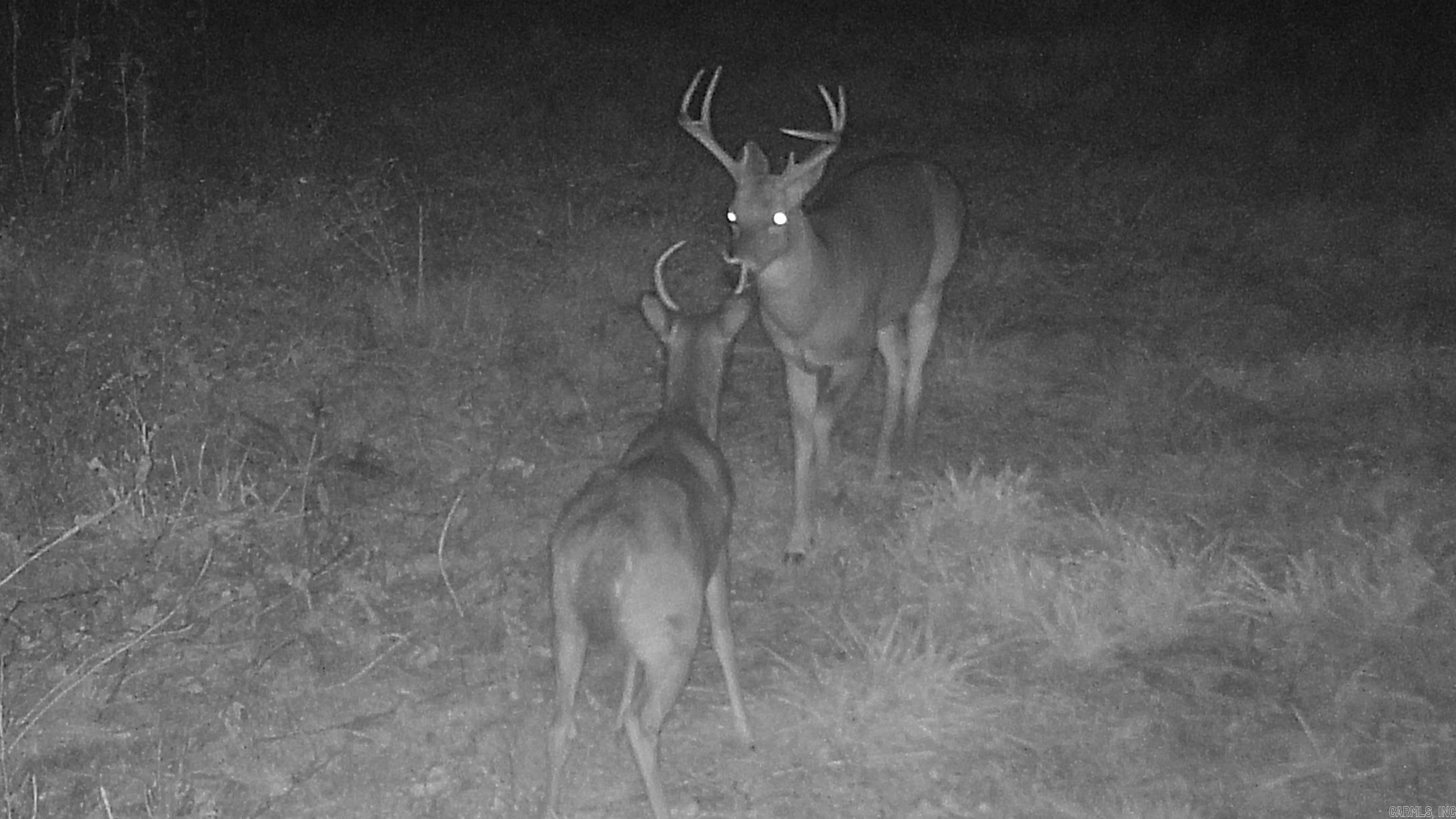 Photo 3 - Vacant Land for sale – 20.17 AC  RAINBOW VALLEY TRAIL   Mammoth Spring, AR