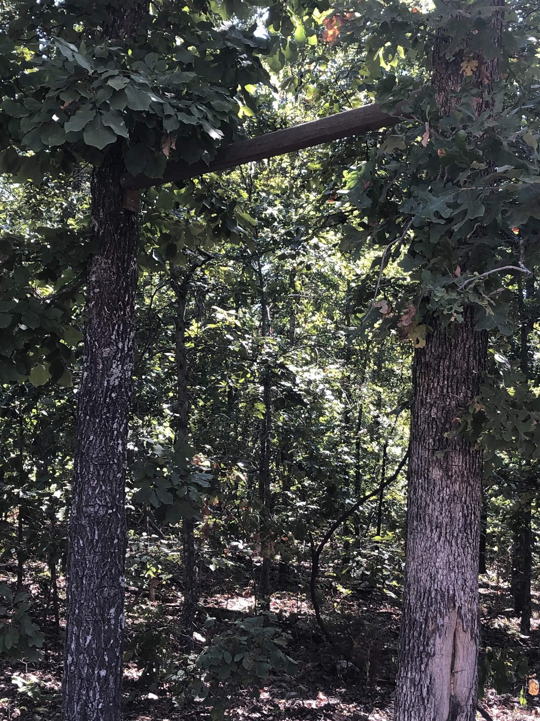 Photo 7 - Vacant Land for sale – 20.17 AC  RAINBOW VALLEY TRAIL   Mammoth Spring, AR