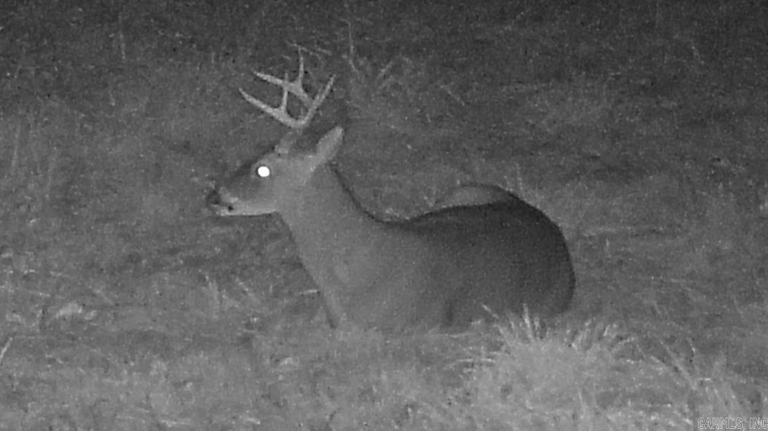 Photo 8 - Vacant Land for sale – 20.17 AC  RAINBOW VALLEY TRAIL   Mammoth Spring, AR