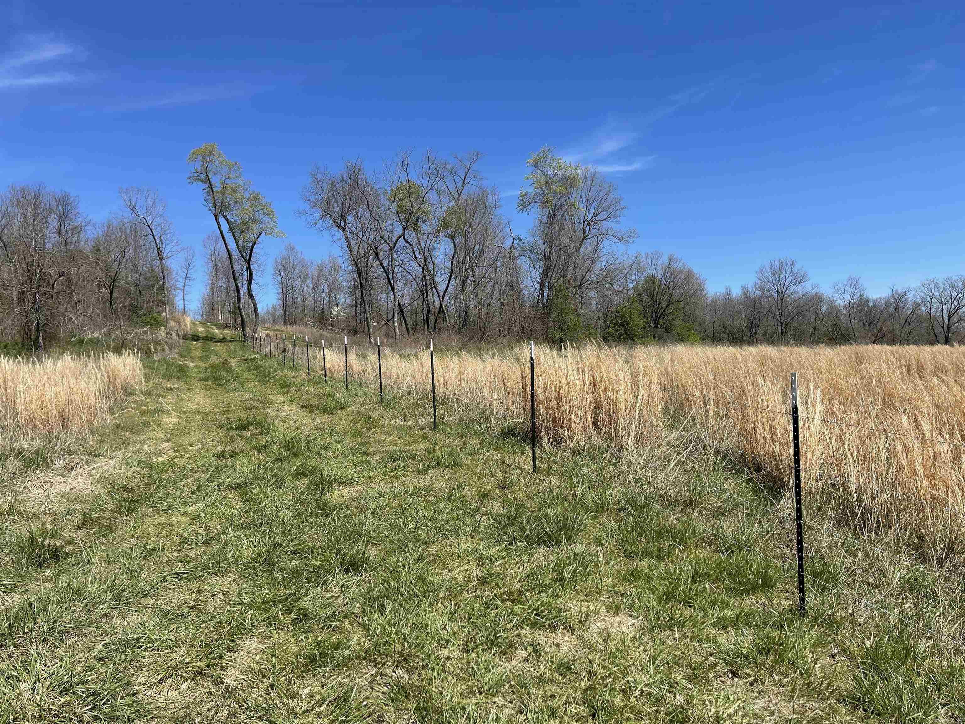 Photo 9 - Vacant Land for sale – 20.17 AC  RAINBOW VALLEY TRAIL   Mammoth Spring, AR