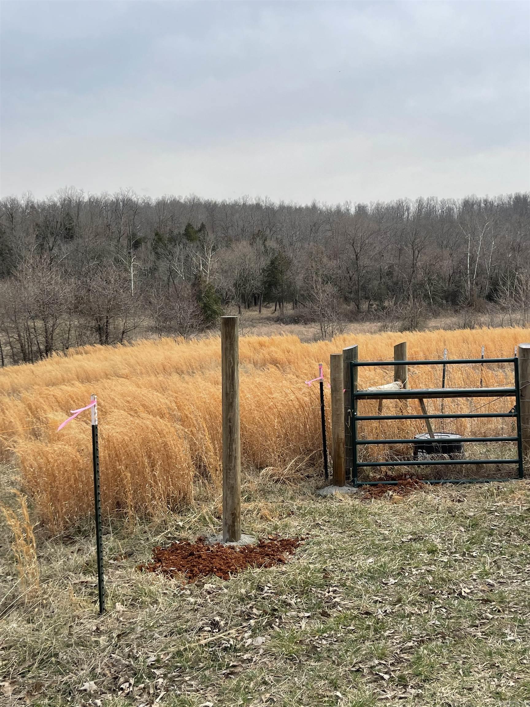 Photo 10 - Vacant Land for sale – 20.17 AC  RAINBOW VALLEY TRAIL   Mammoth Spring, AR