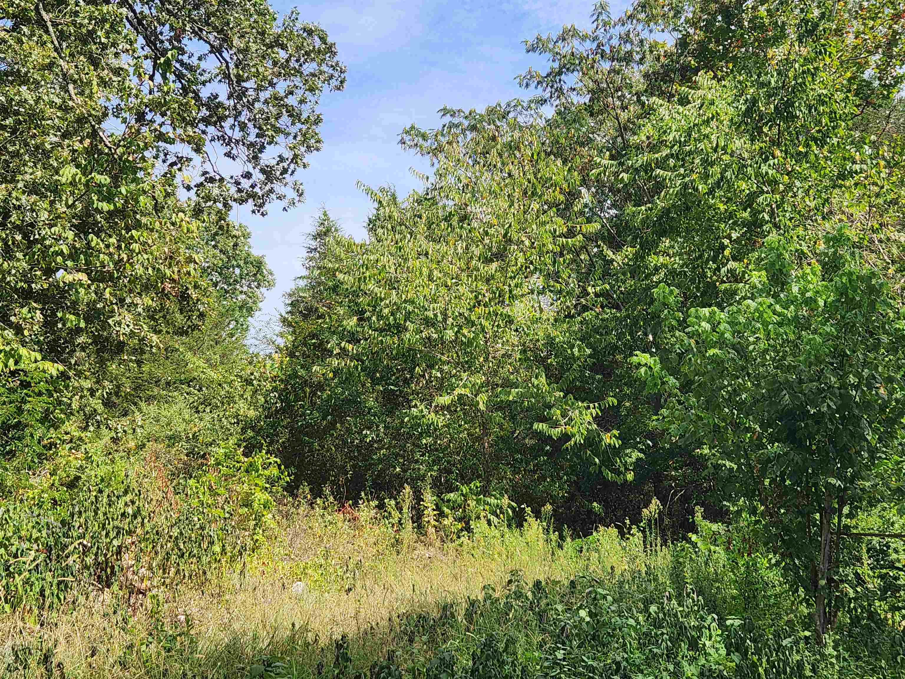 Photo 11 - Vacant Land for sale – 2612  63   Hardy, AR