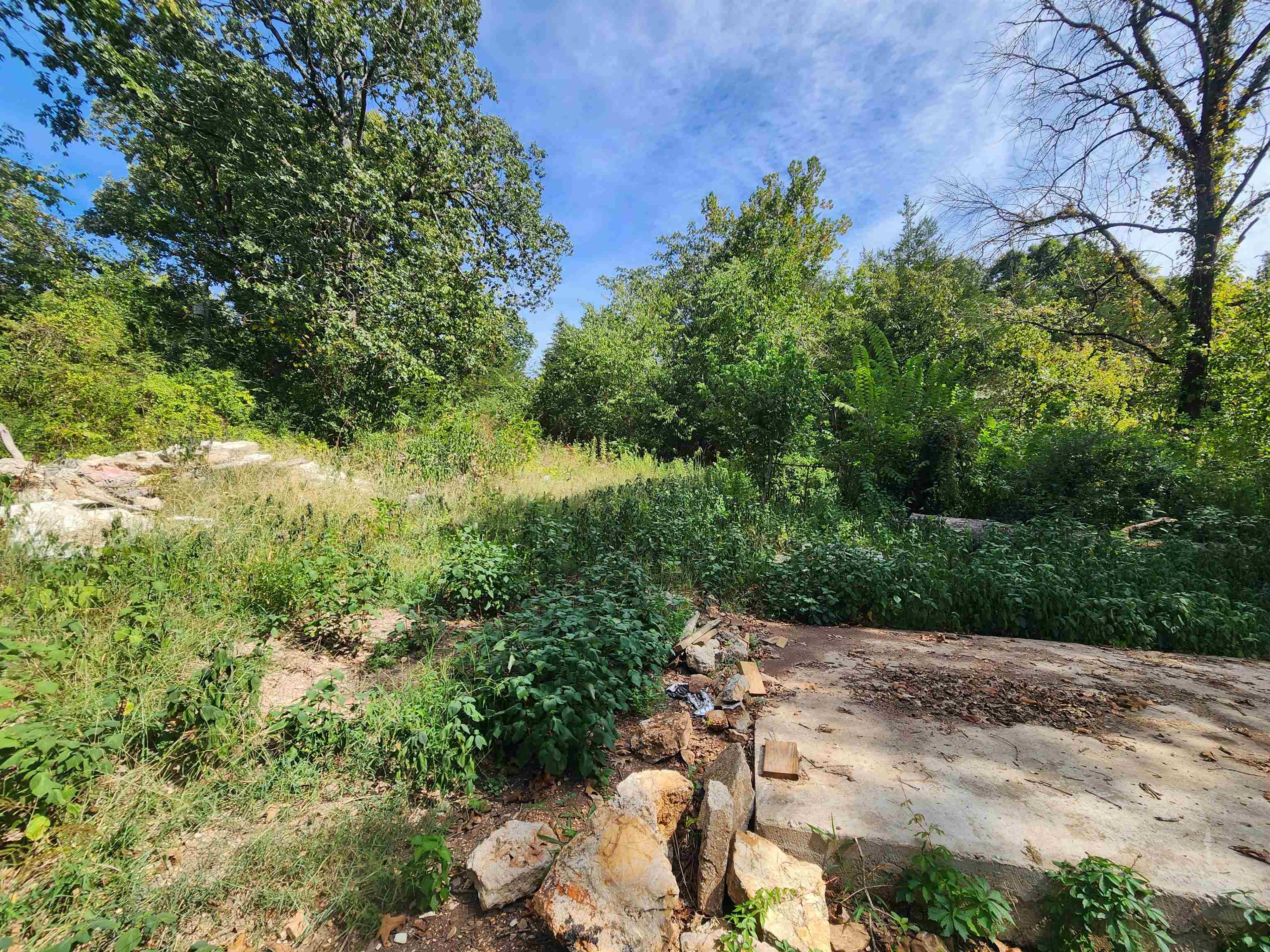 Photo 9 - Vacant Land for sale – 2612  63   Hardy, AR